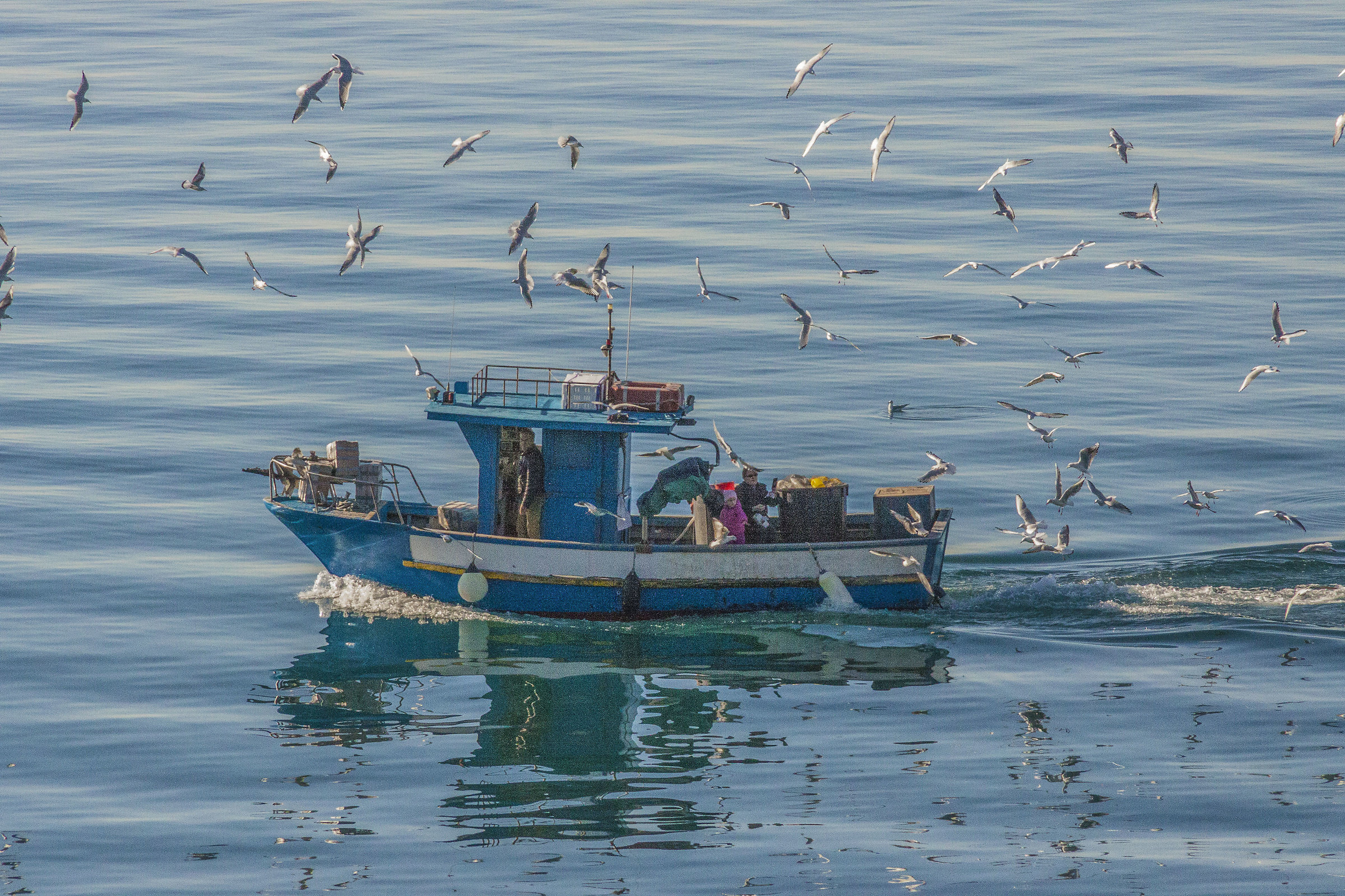 Odore di pranzo in mare