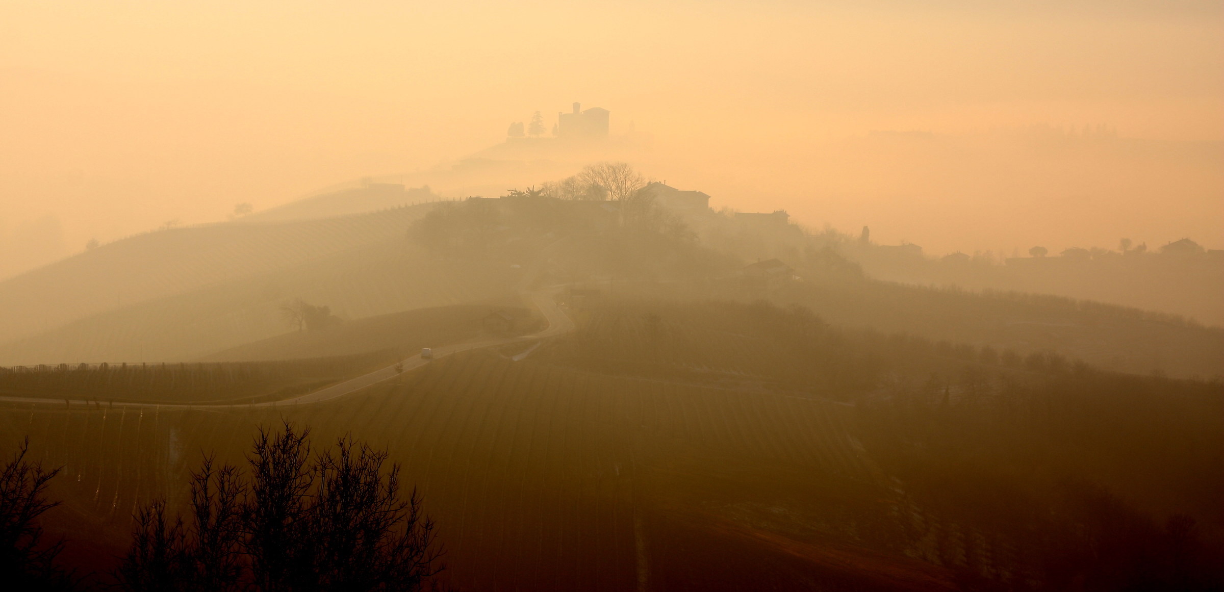 Grinzane Cavour, controluce nella nebbia