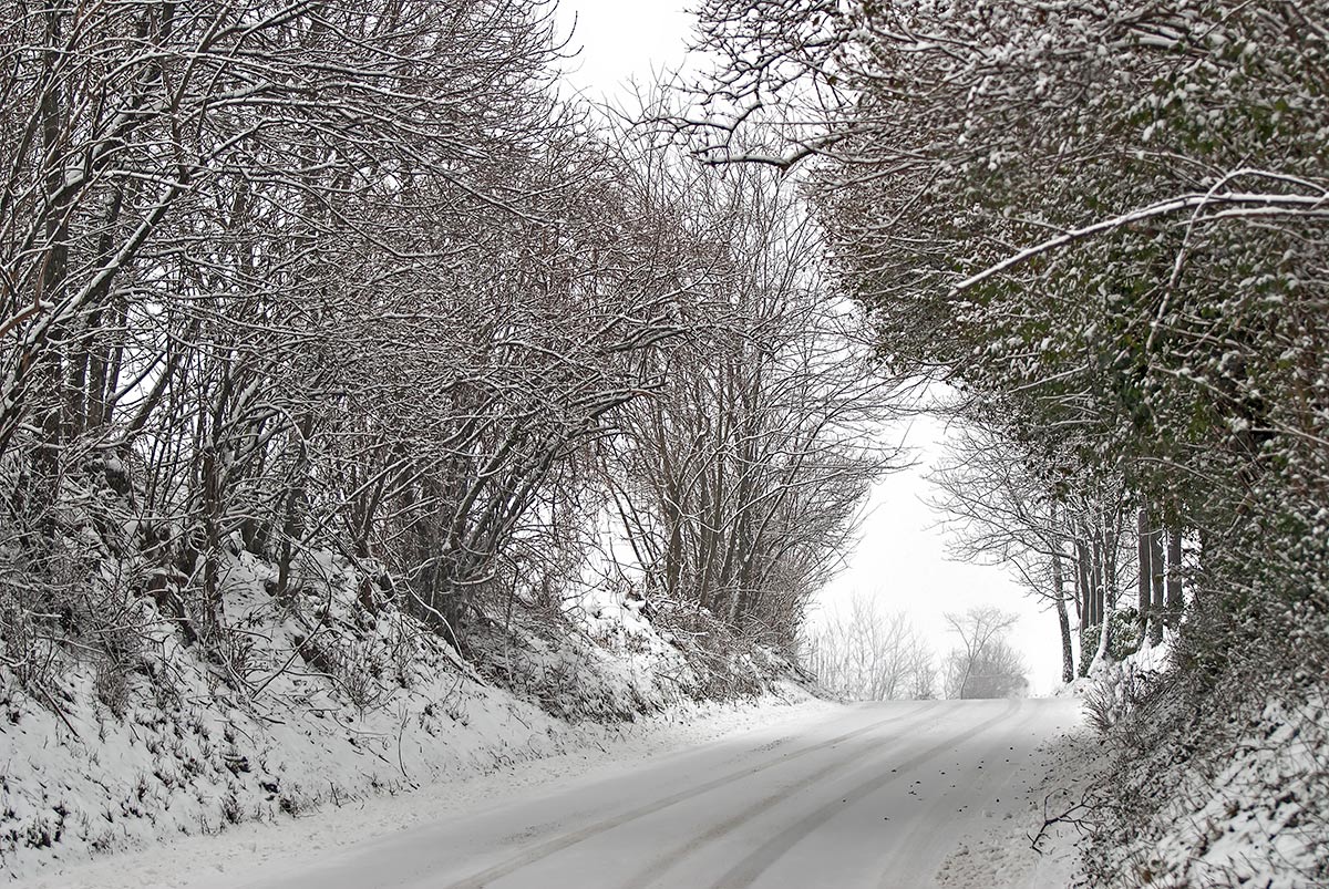 Sentiero innevato