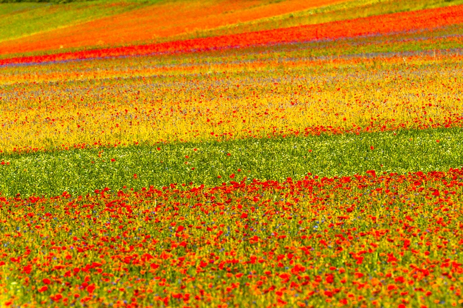 Castelluccio
