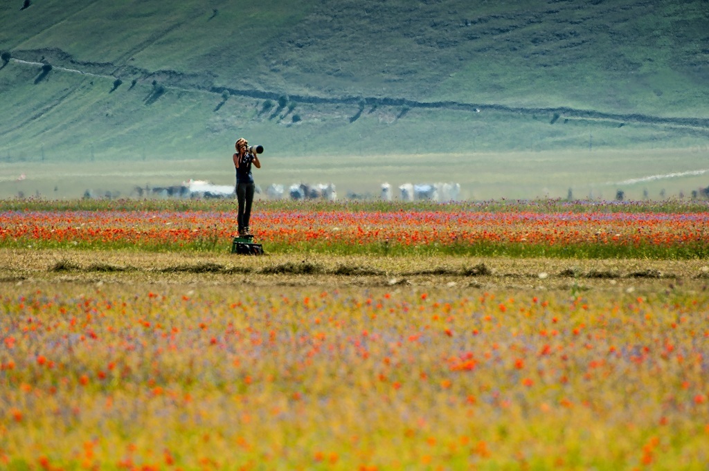 Castelluccio