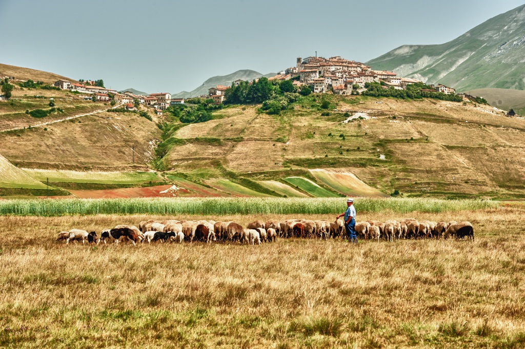 Castelluccio
