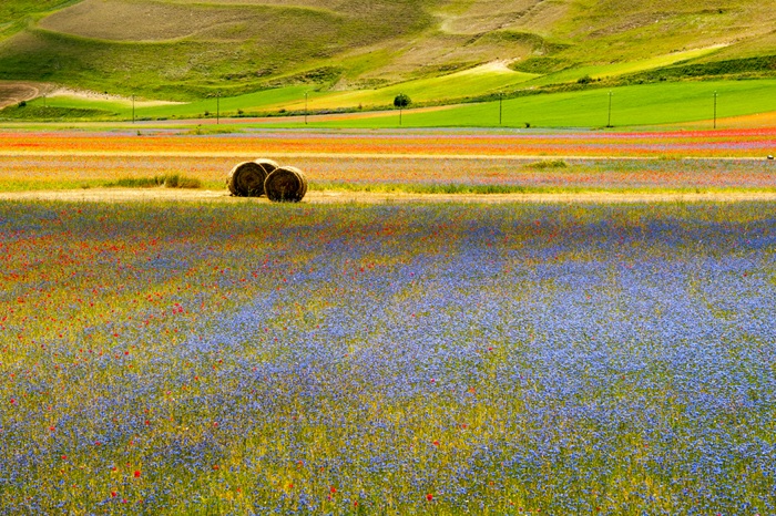Castelluccio