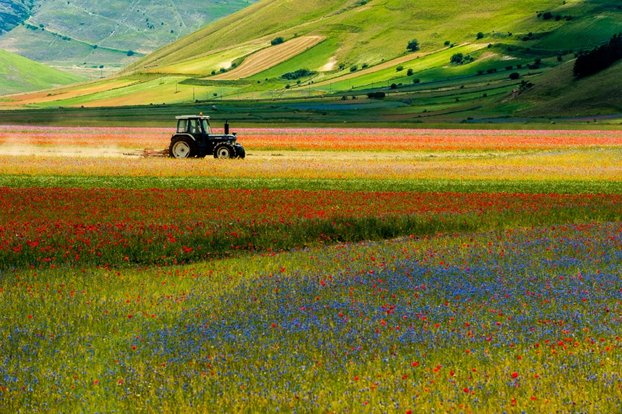 Castelluccio