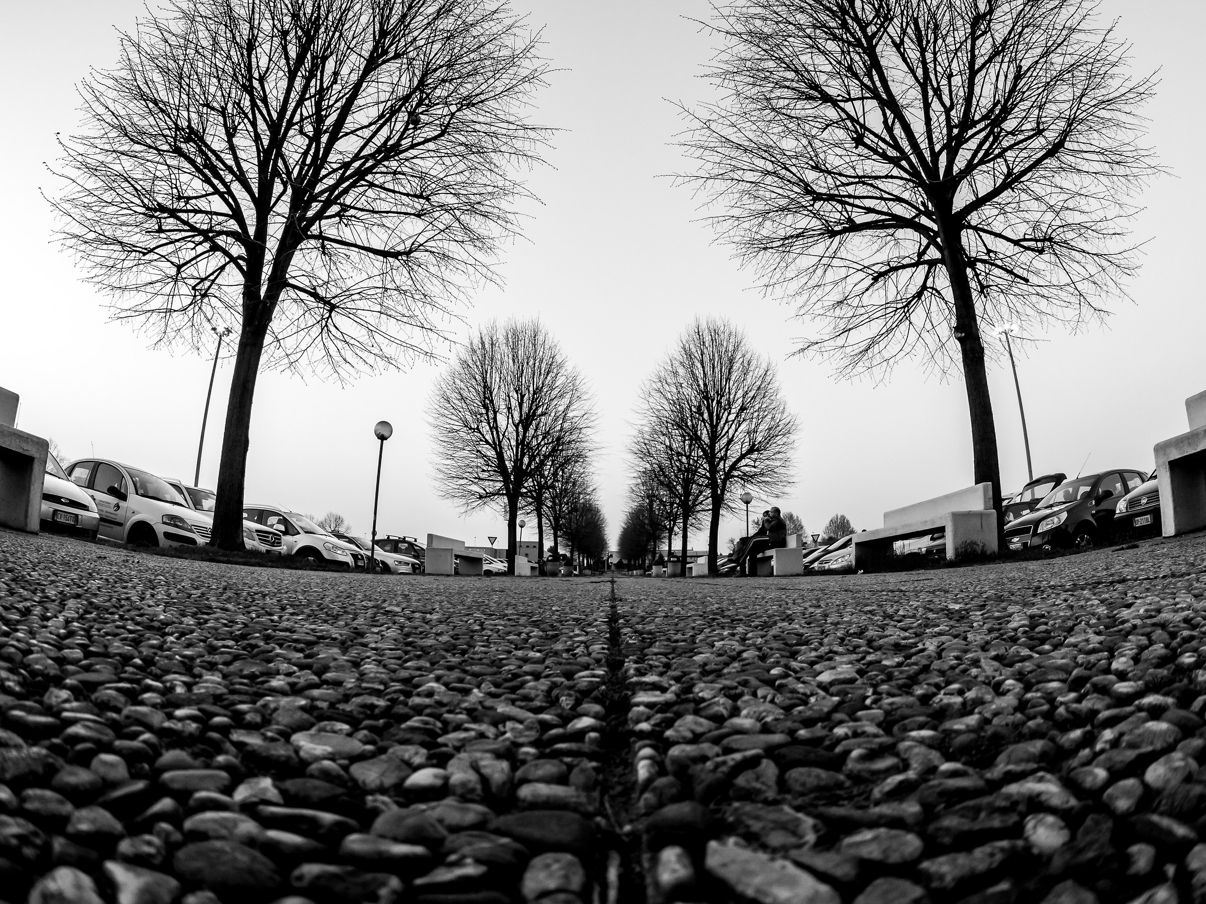 natura morta... o distrutta