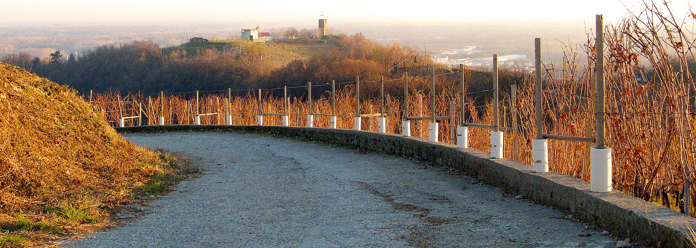 Hills of Gattinara