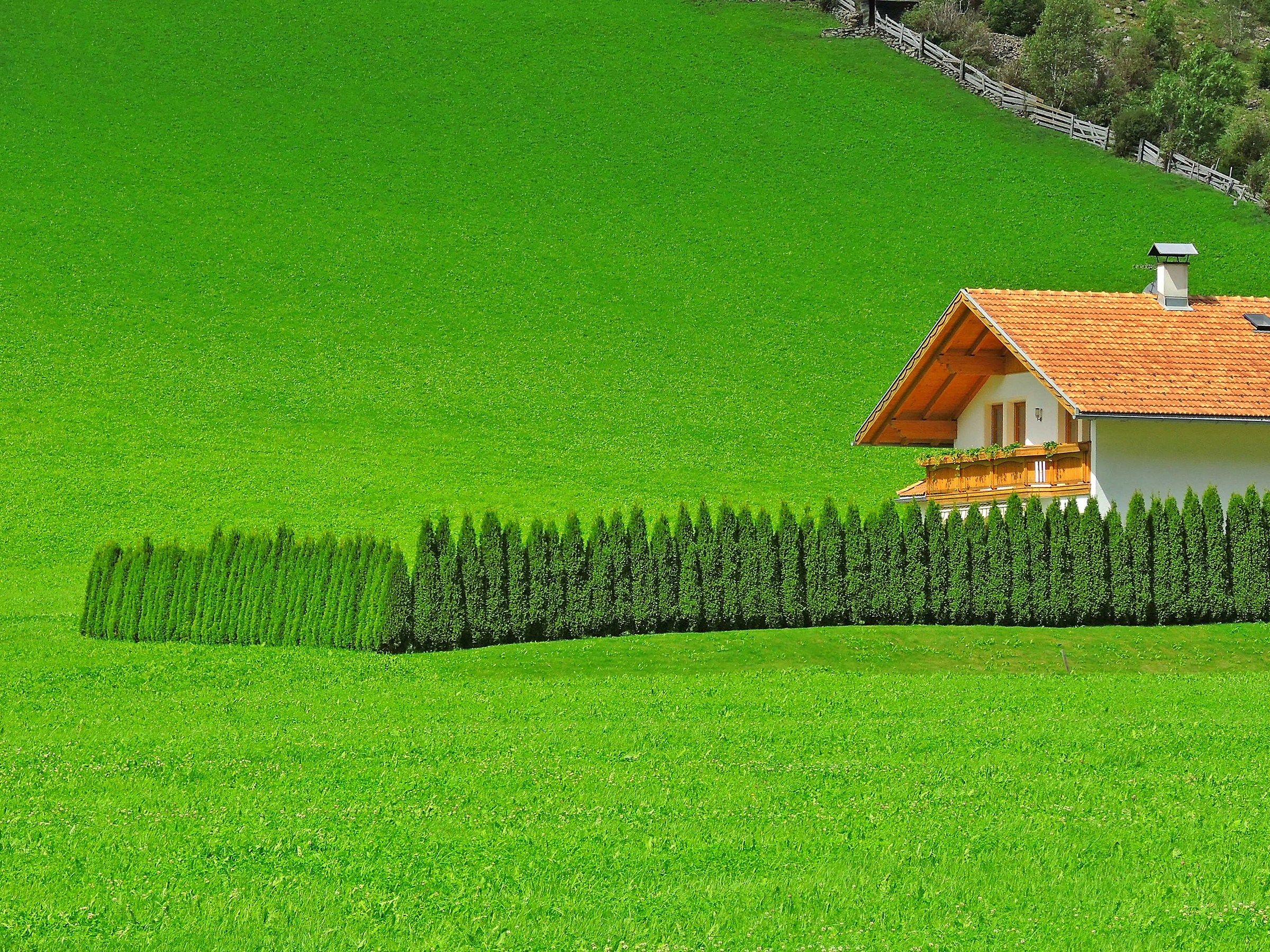 3053 - order in the territory