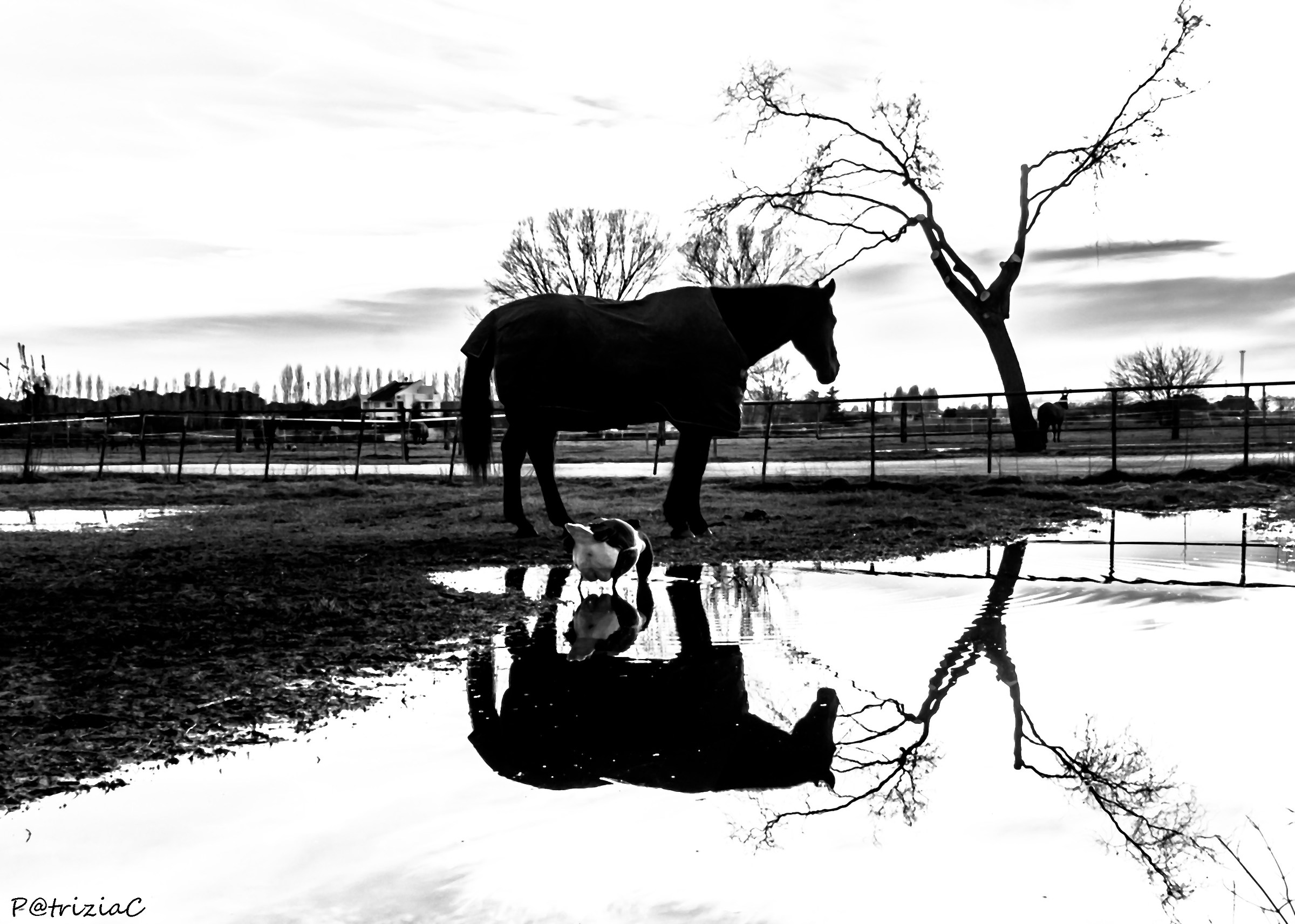 ... reflected ... and ...