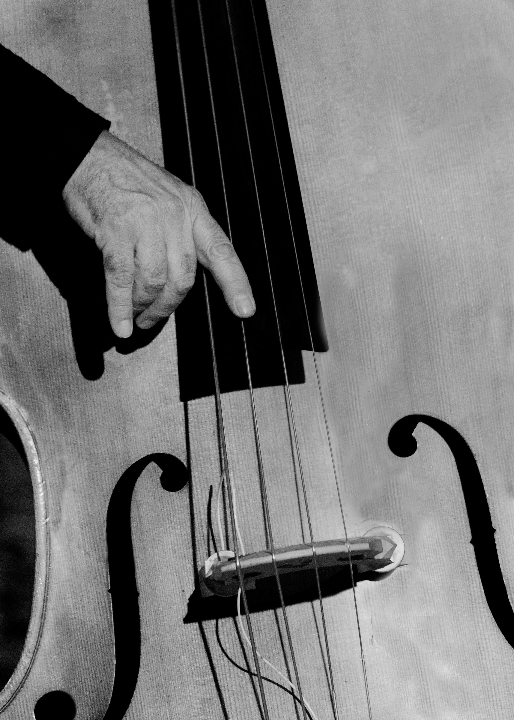 Scilla Jazz Festival 2017