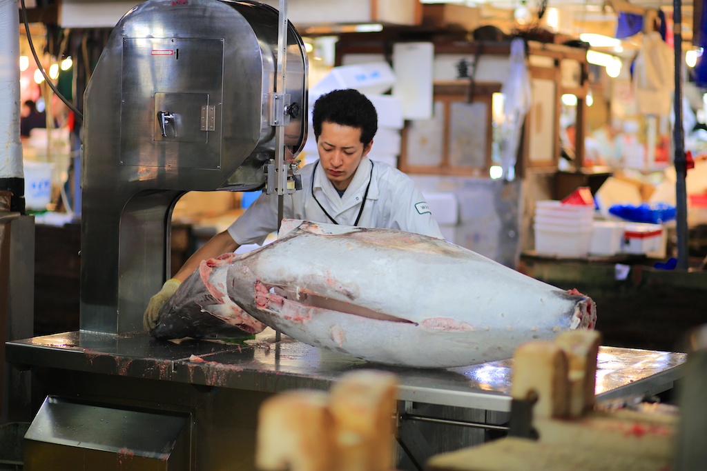 Tokyo mercato del pesce