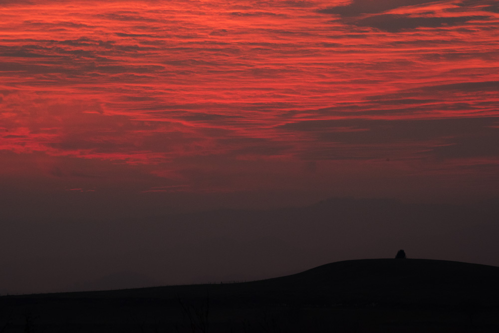 Serata a San Lorenzo