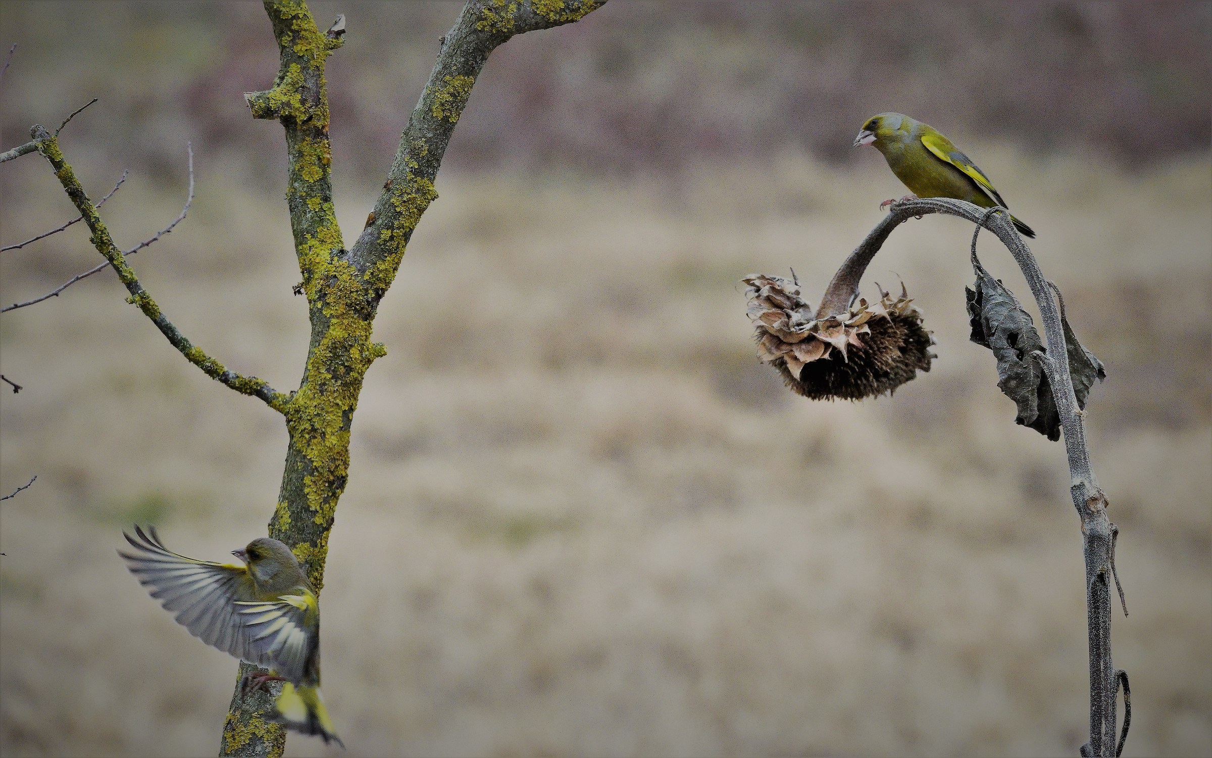 he won the bad verdict