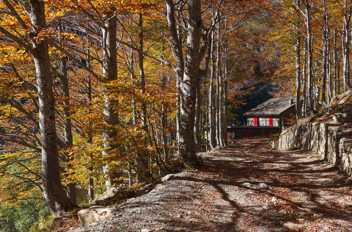 The red-framed house