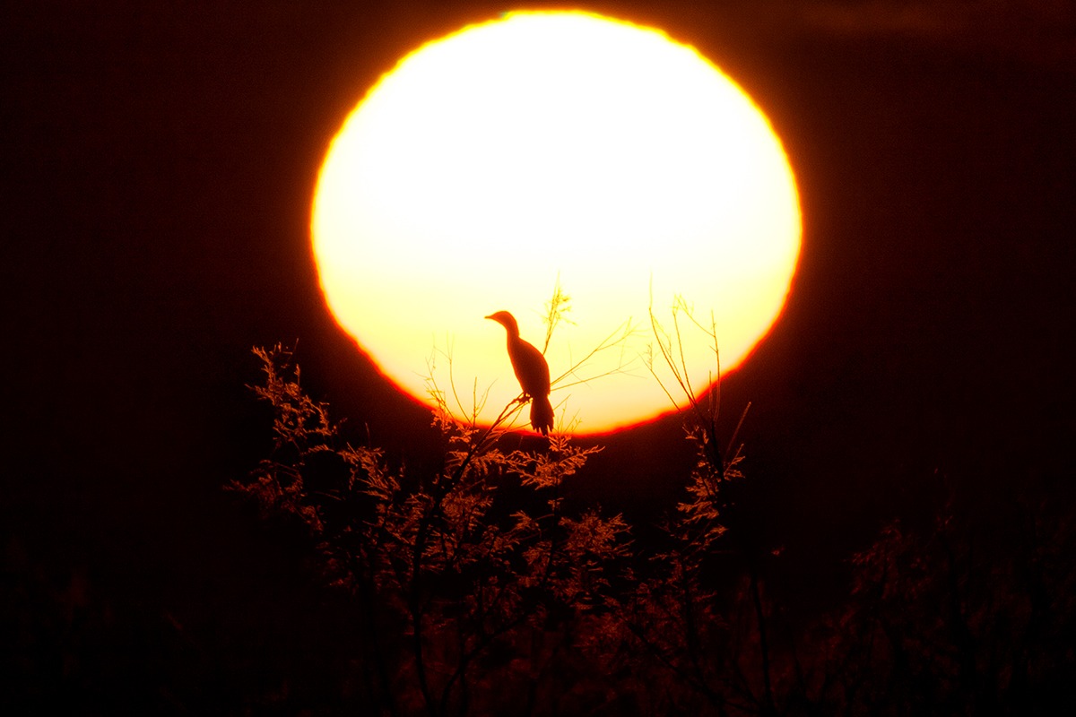 Tramonto sul Delta del Po