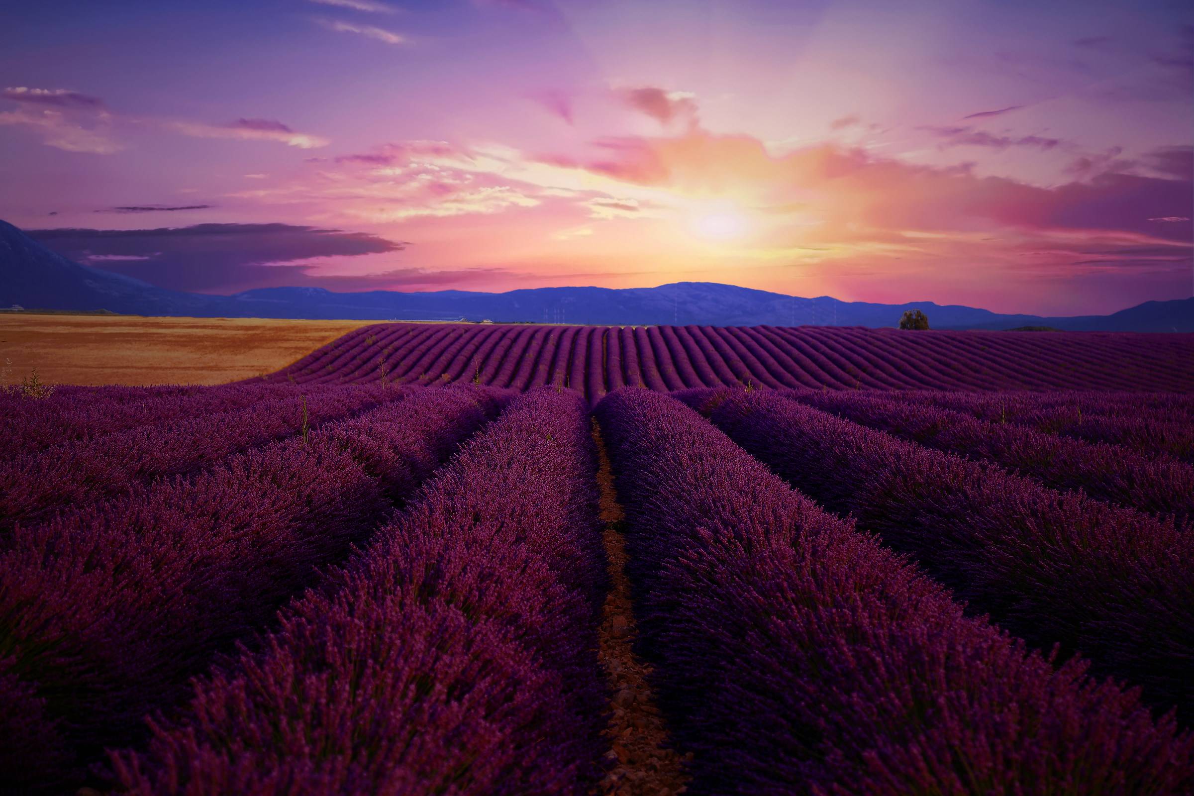 Purple sunset