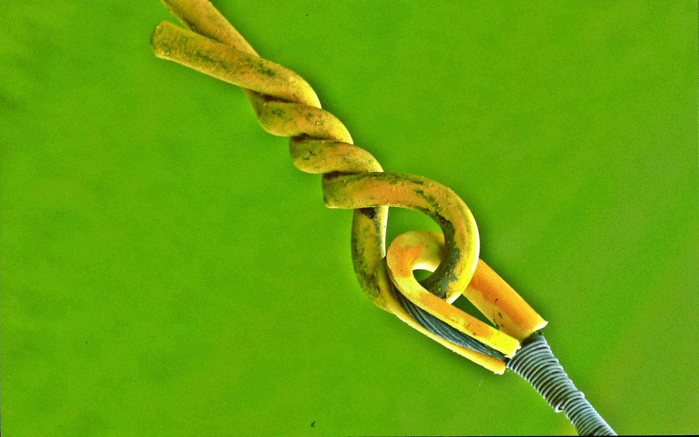 68 - the knot that clings to us