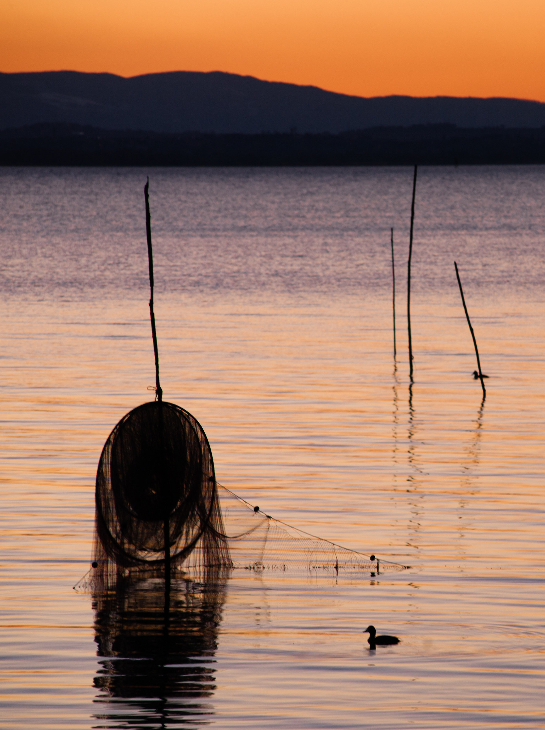 The colors of the lake