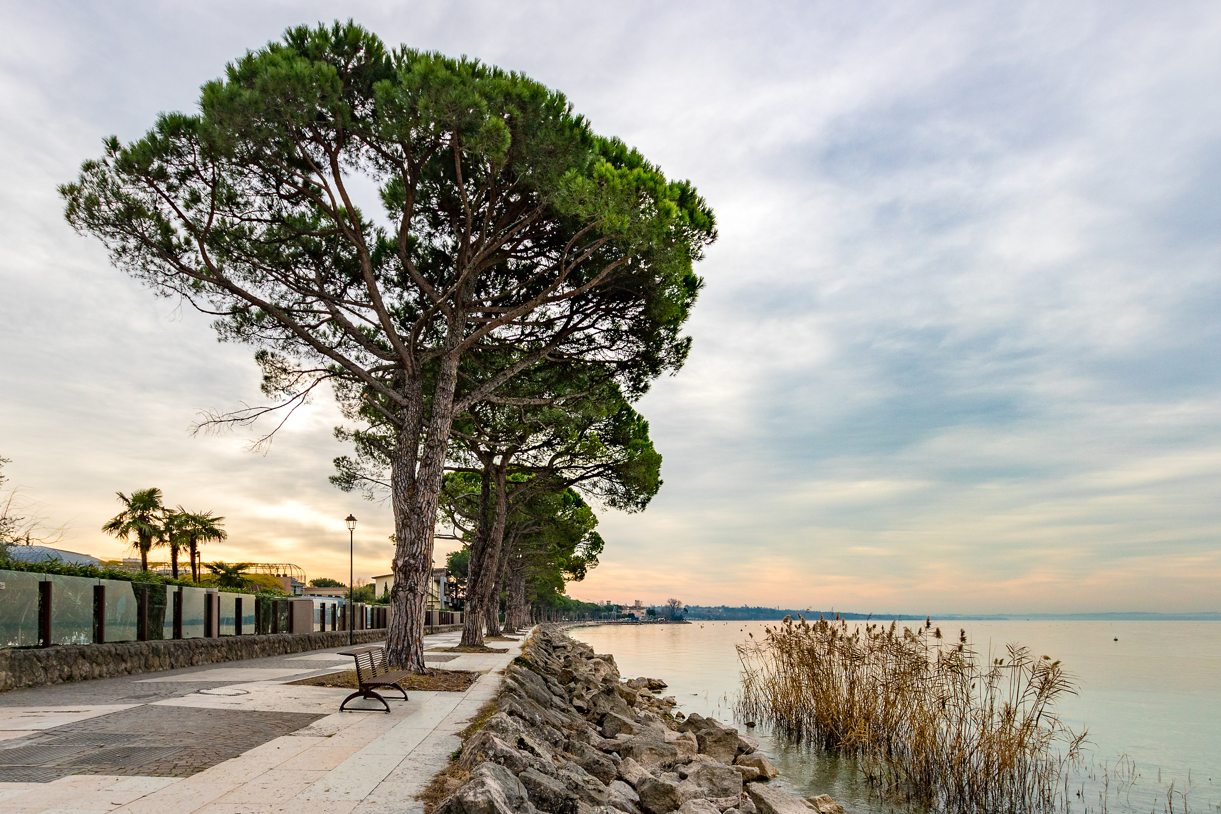 Ultimo giorno d'autunno #1