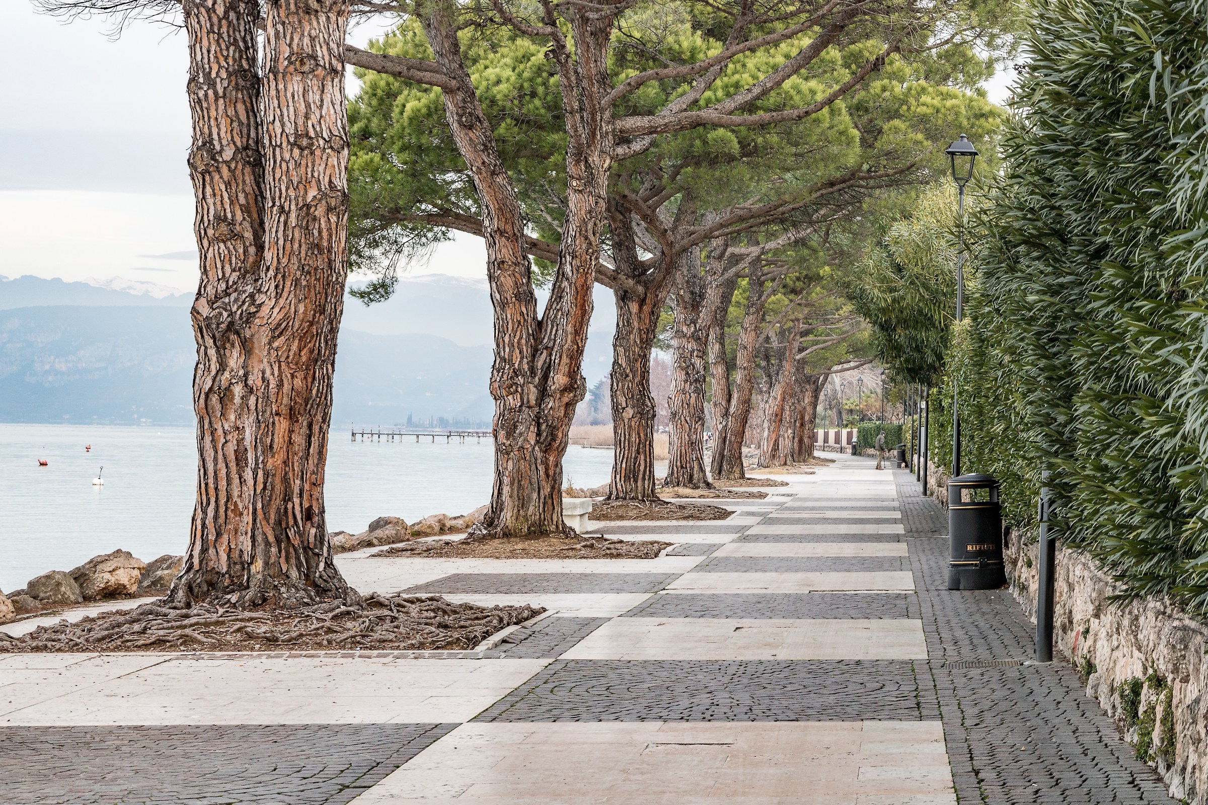 Ultimo giorno d'autunno #2