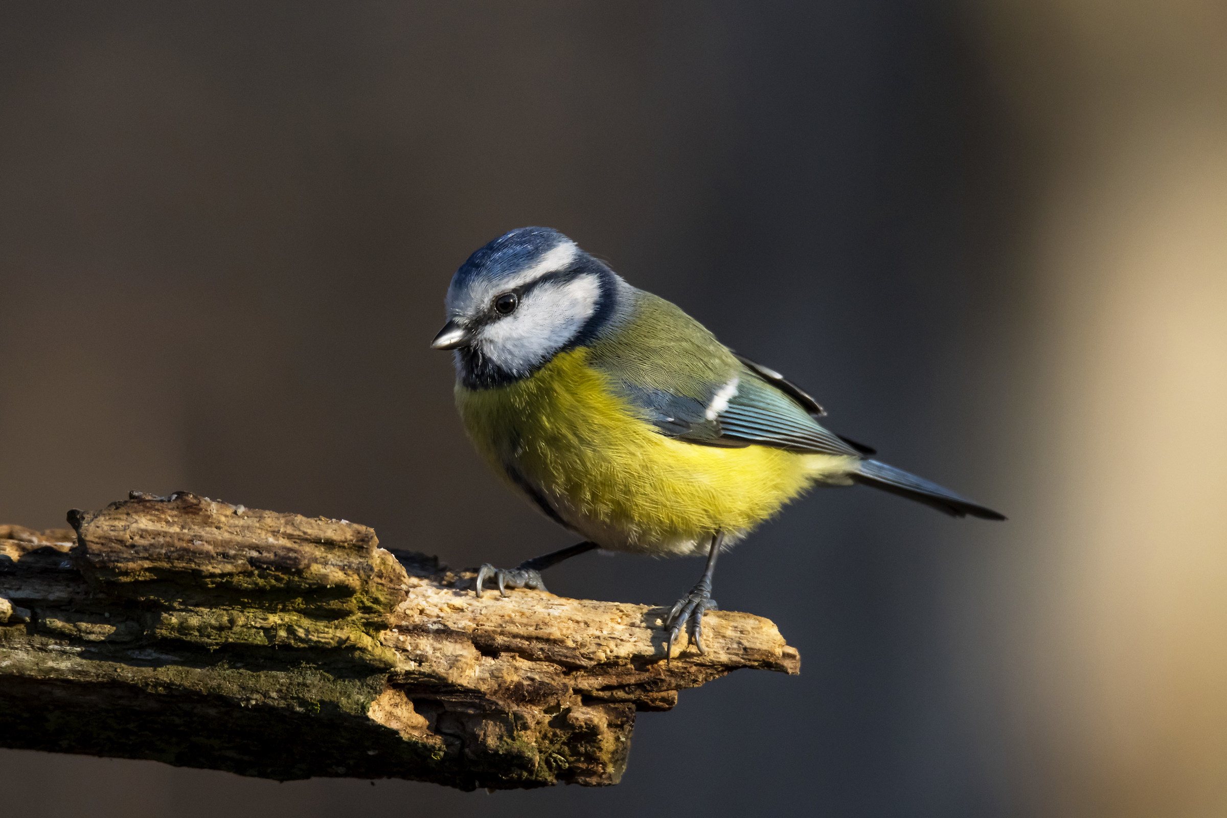 hit by the rays of the sun