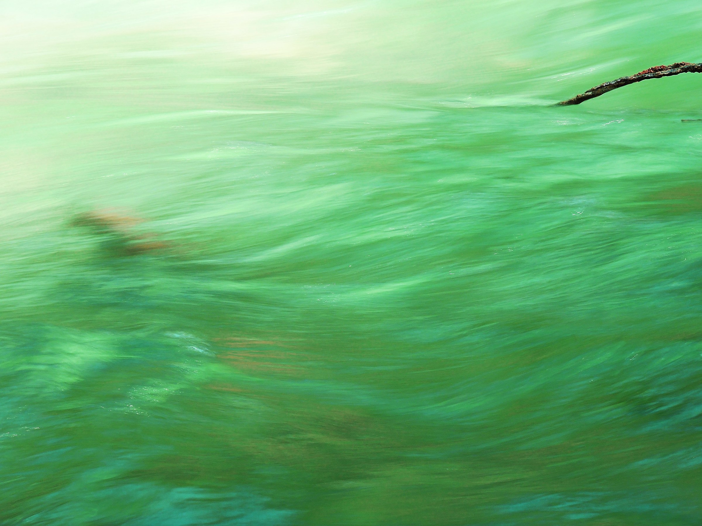 3064 - vellutata mobilità