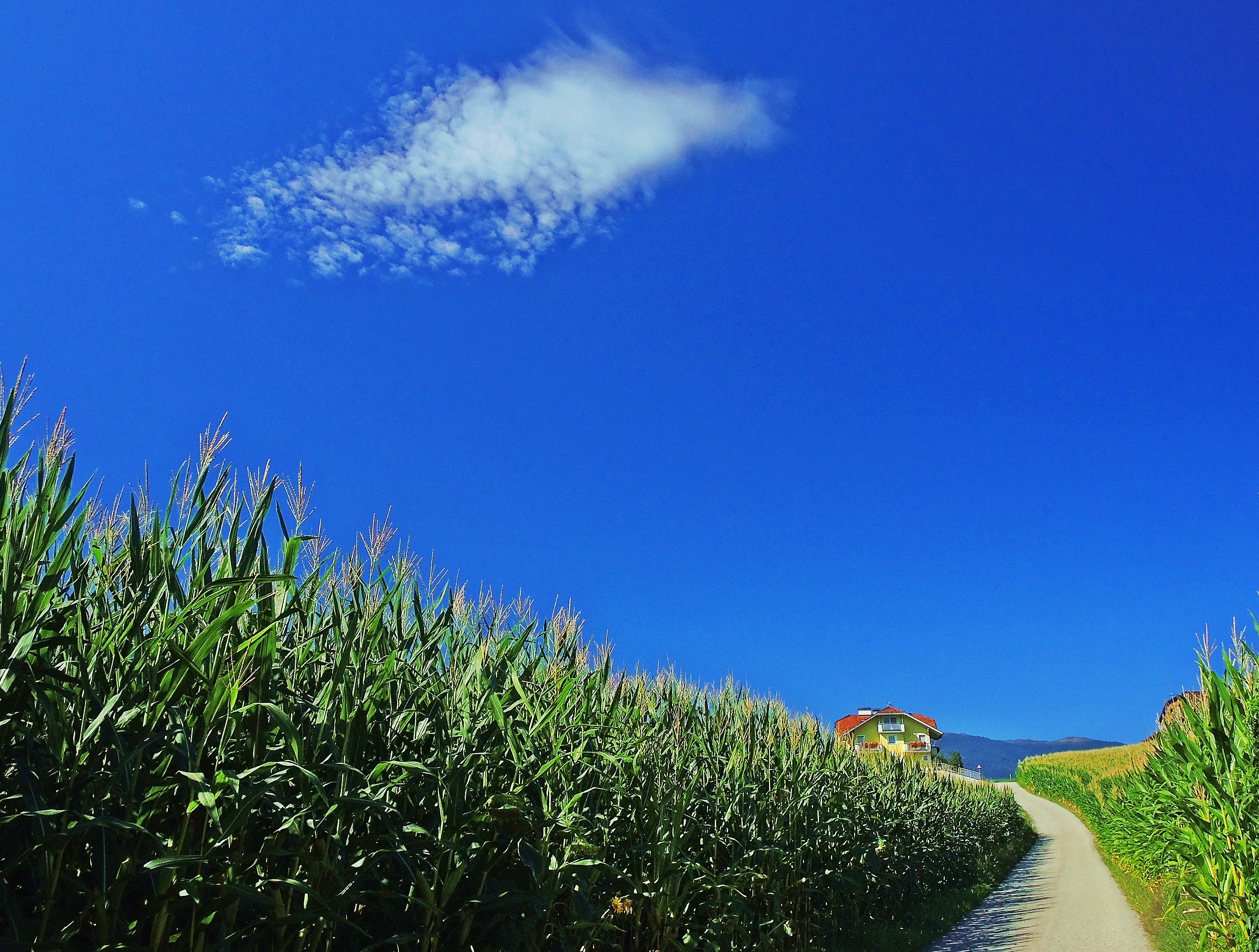 3079 - banalità estiva