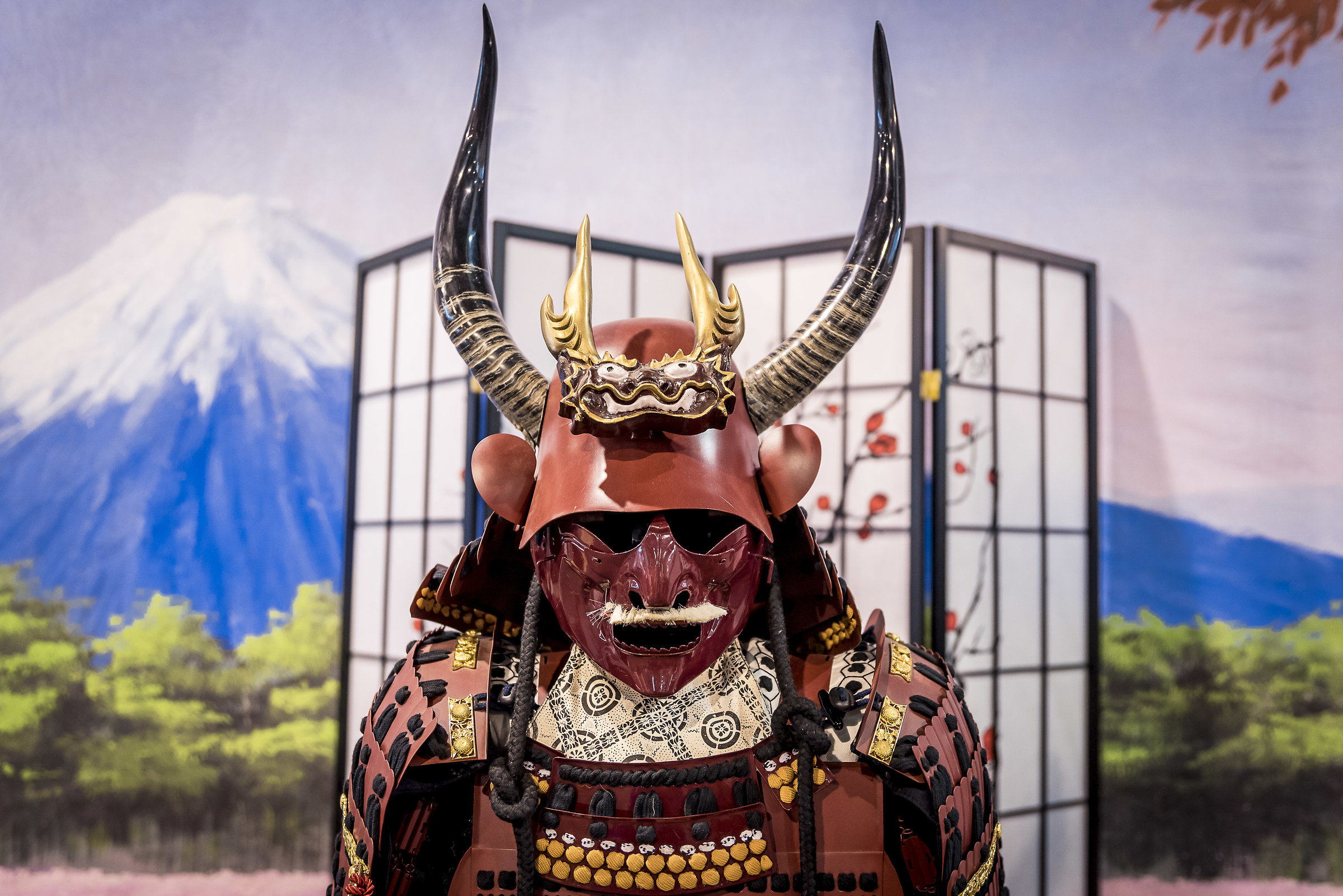 Festival of the Orient 1