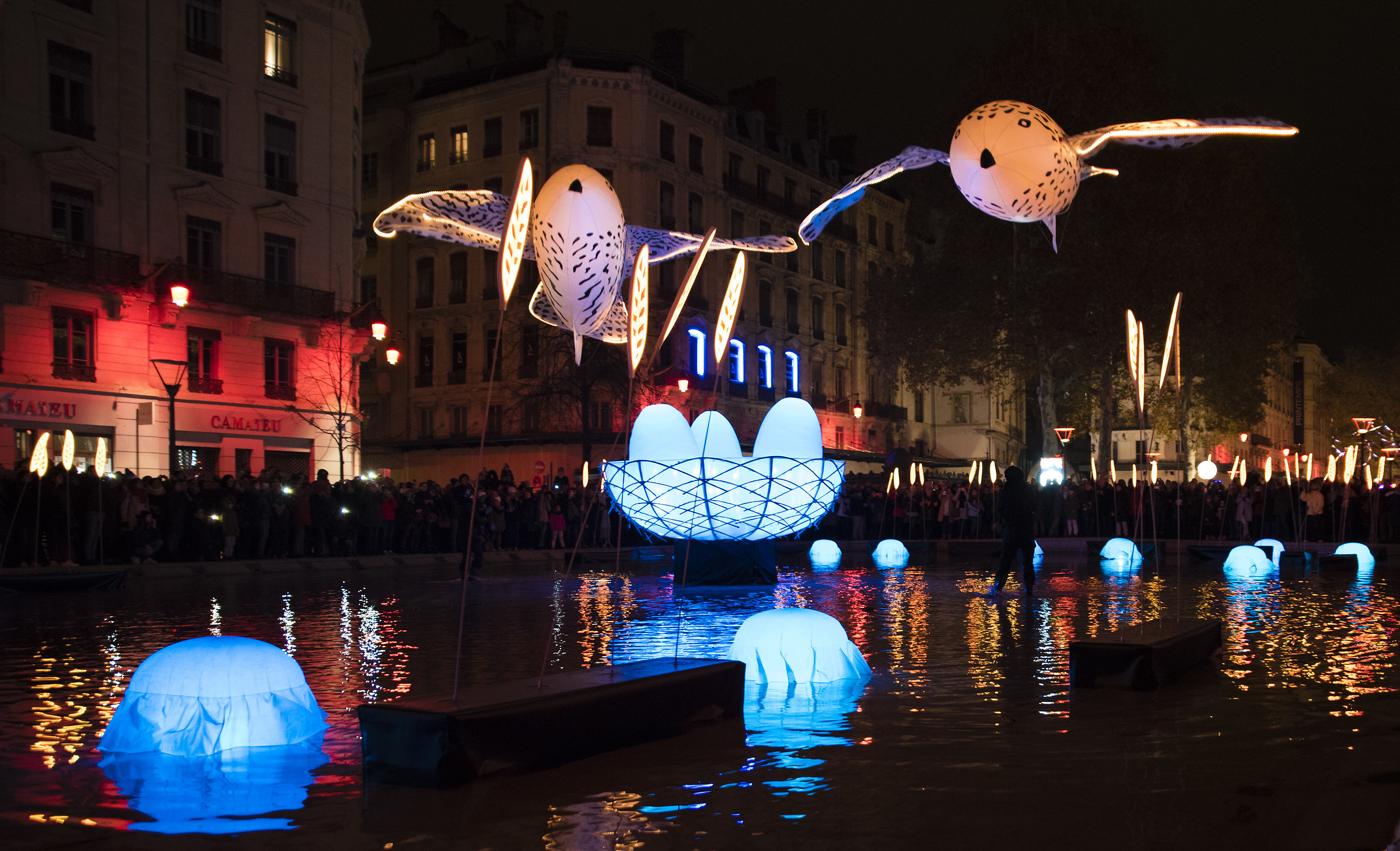Festival of Lights Lyon n.2