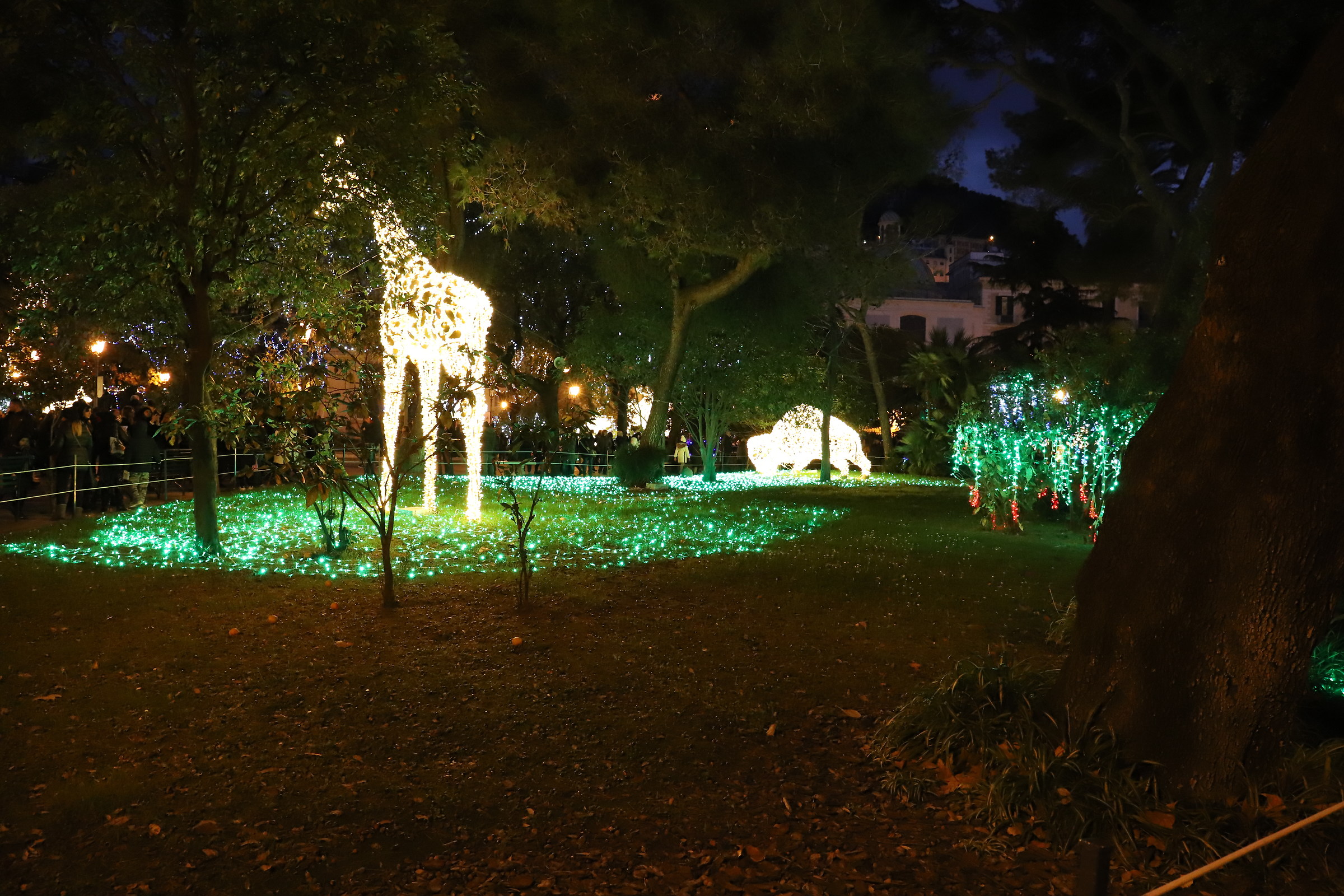 Luminarie in Salerno 2