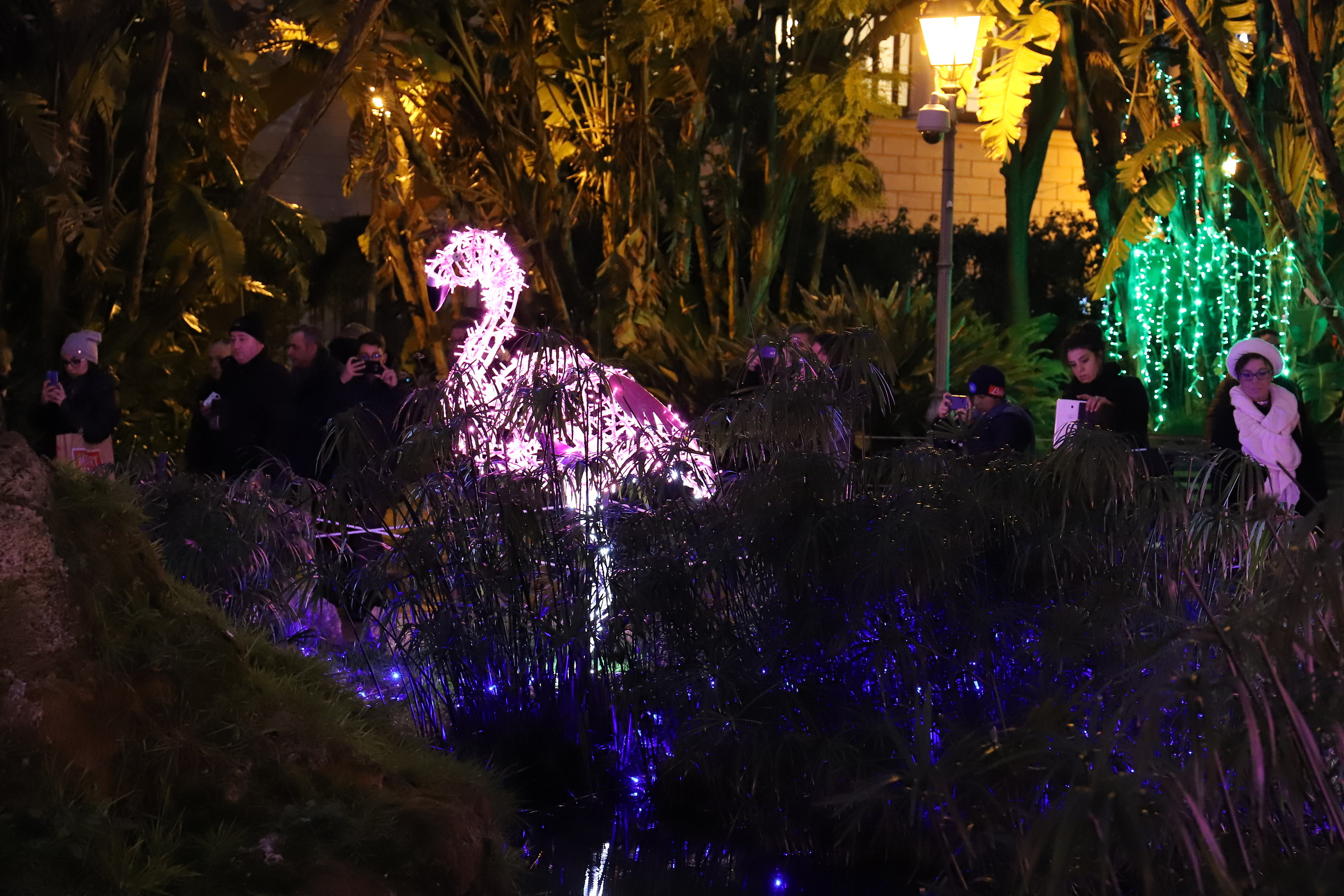 Luminarie in Salerno 3