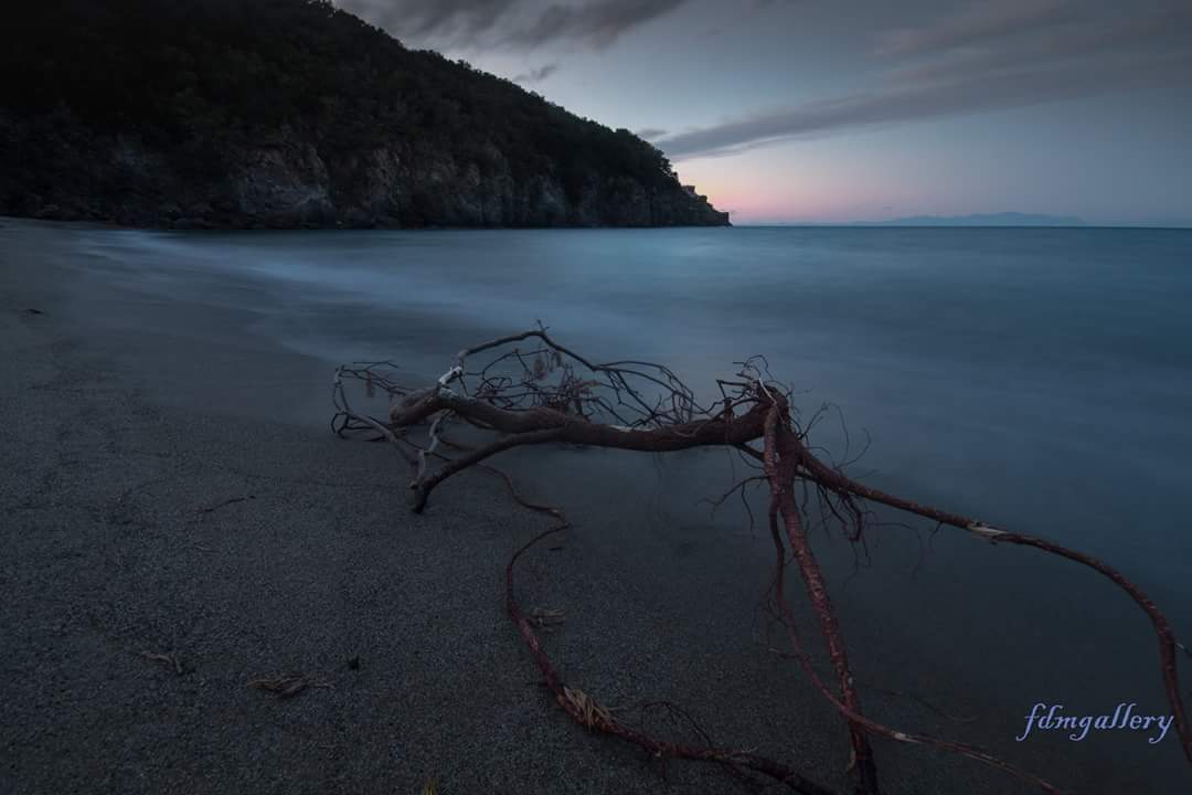 The sea is a poetry in constant recitation