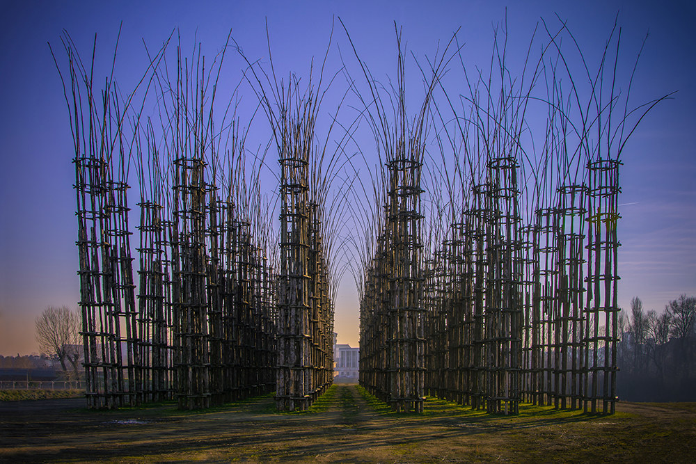 Vegetal Cathedral of Lodi
