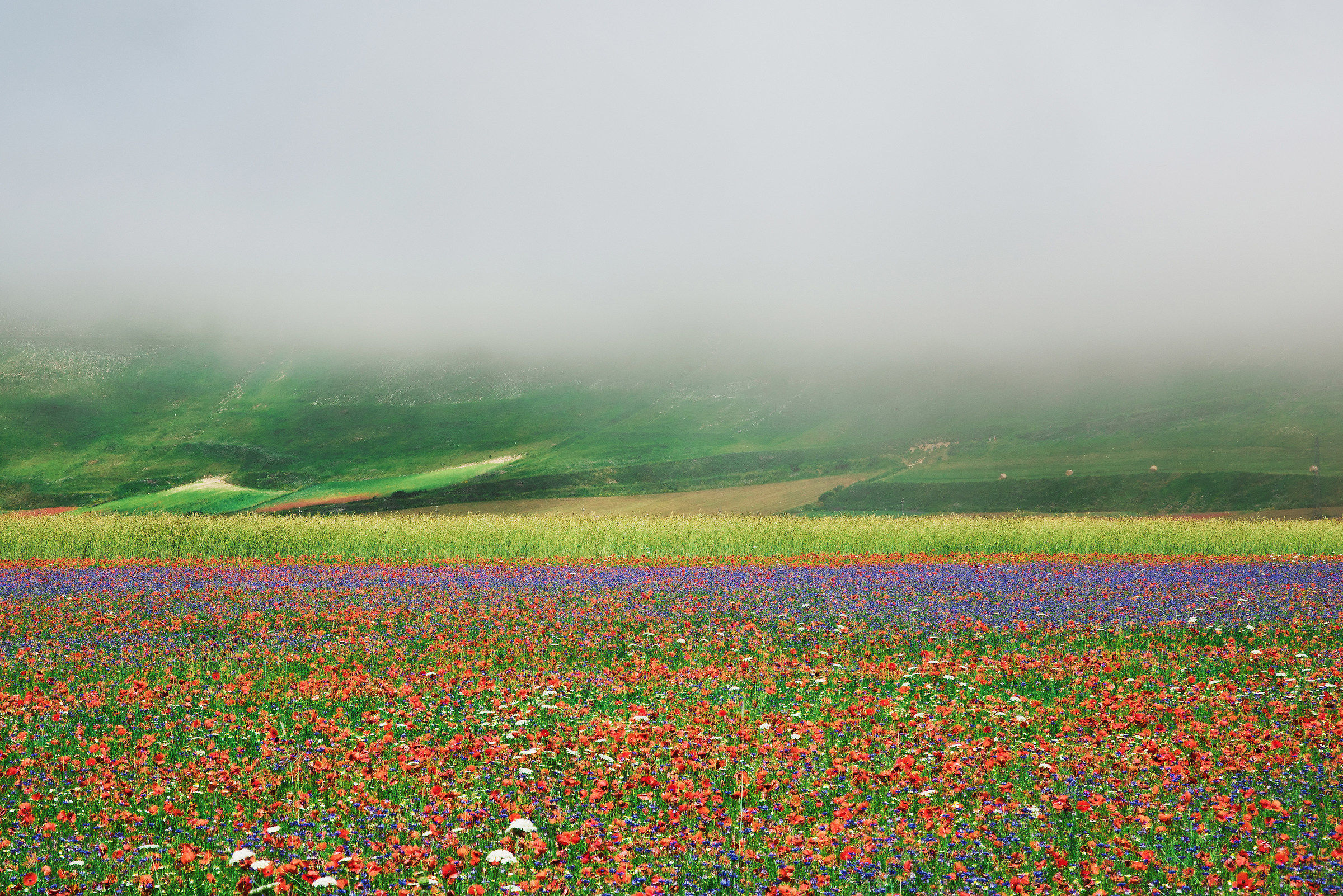 Remember Castelluccio