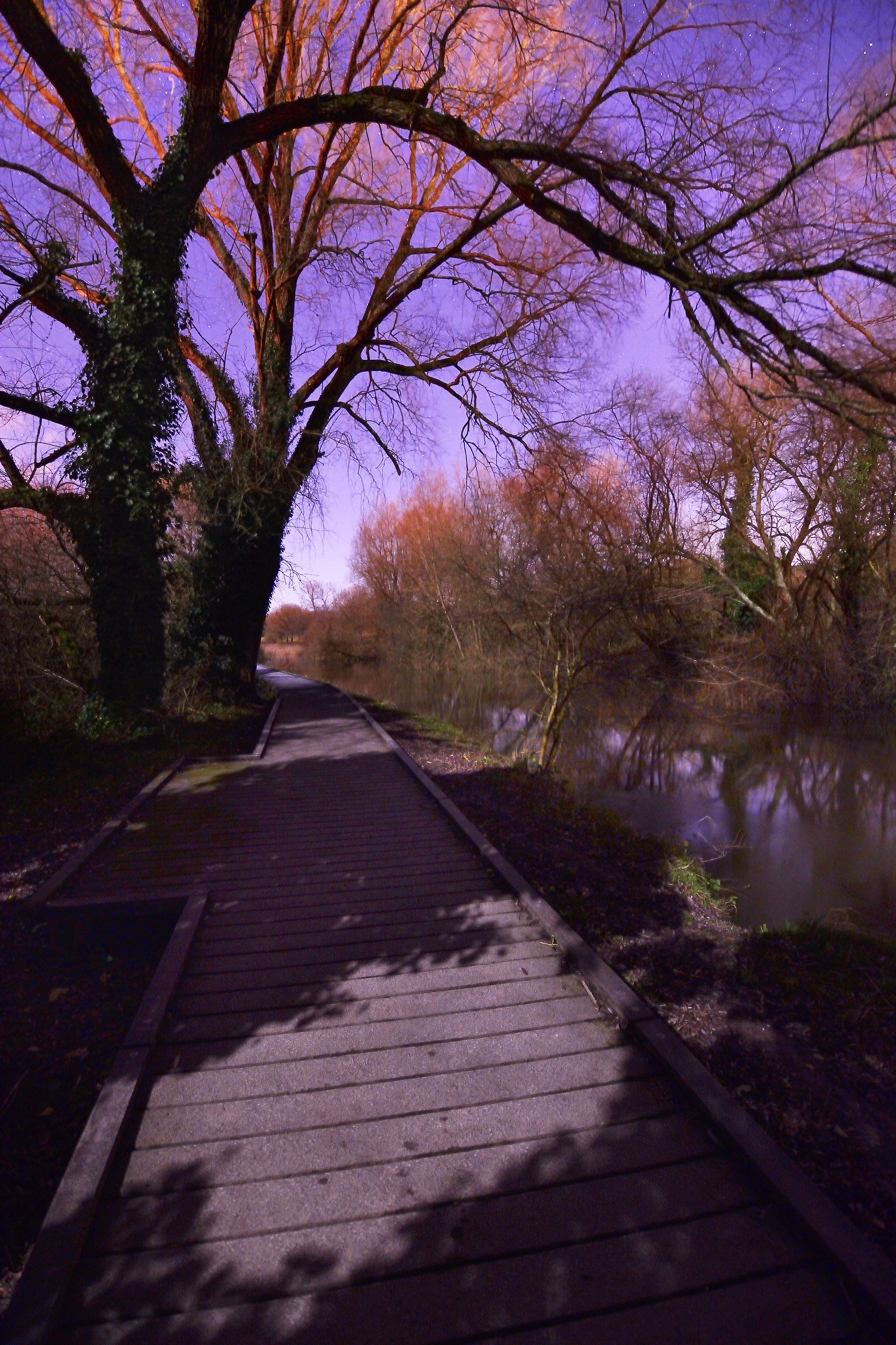 Moonlight Shadows sul lungomare