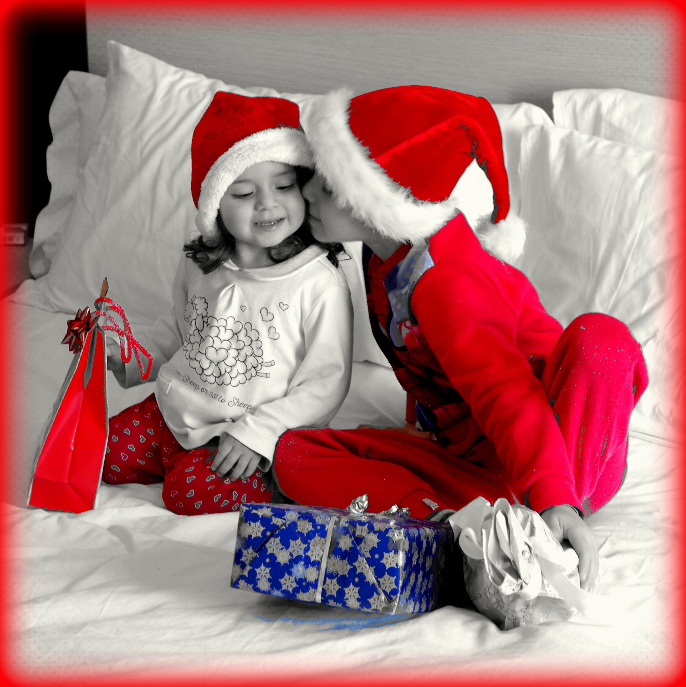 Natale 2017! (i miei cuccioli)