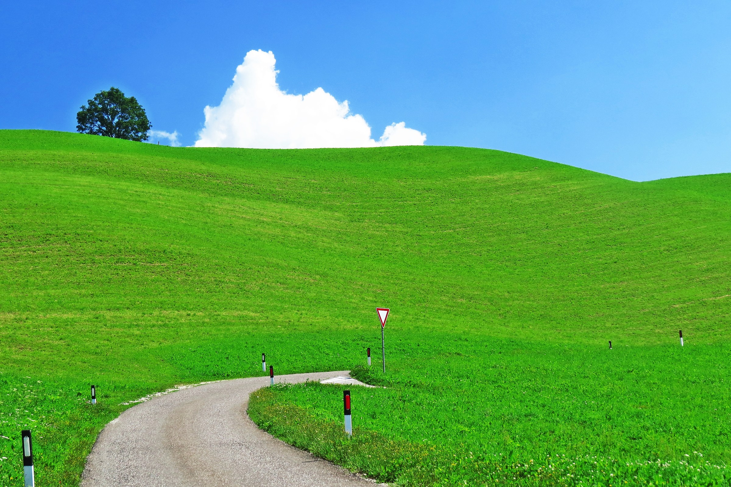 3290 - dare la precedenza alla natura