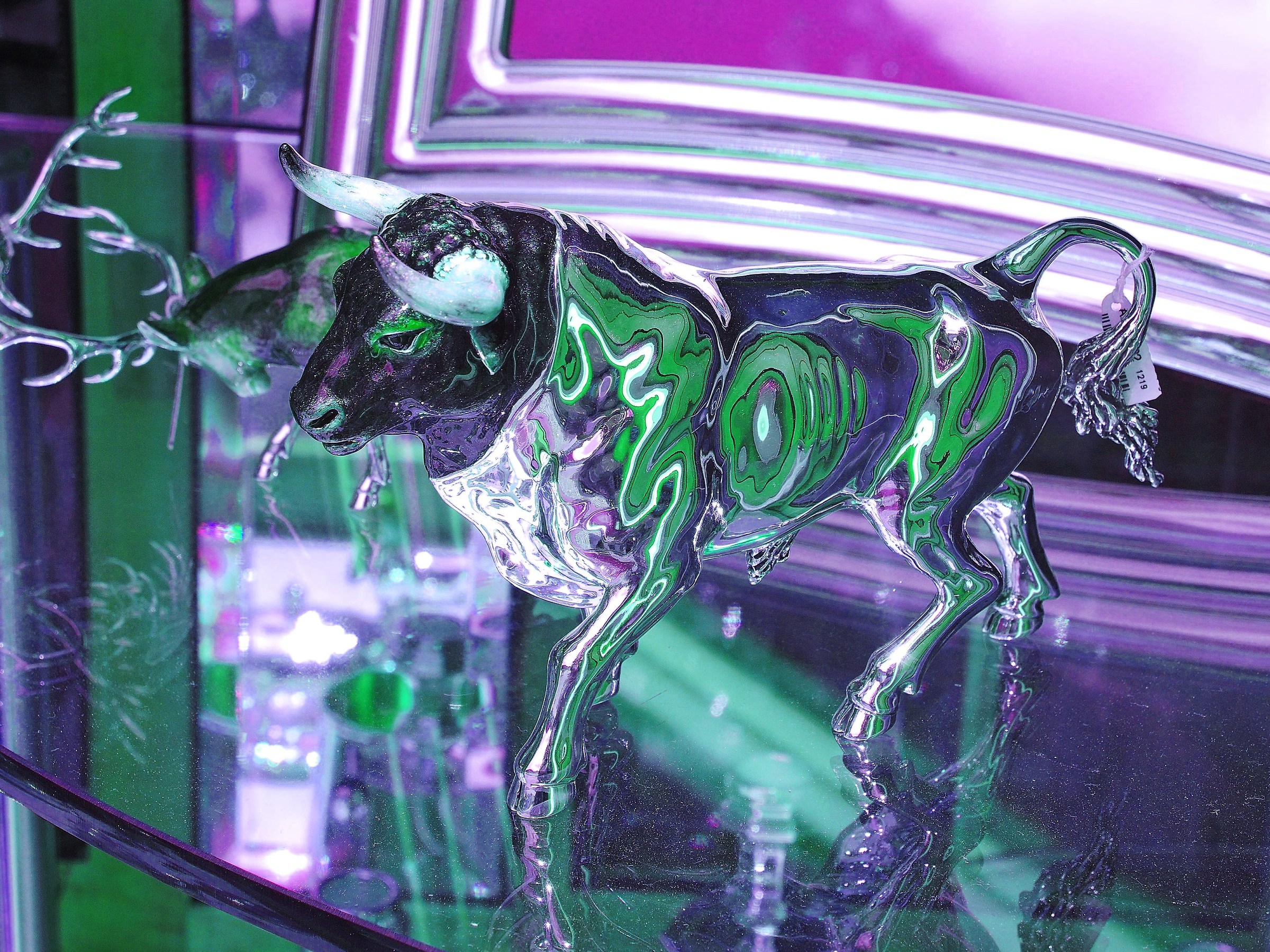 5010 - elegante splendore