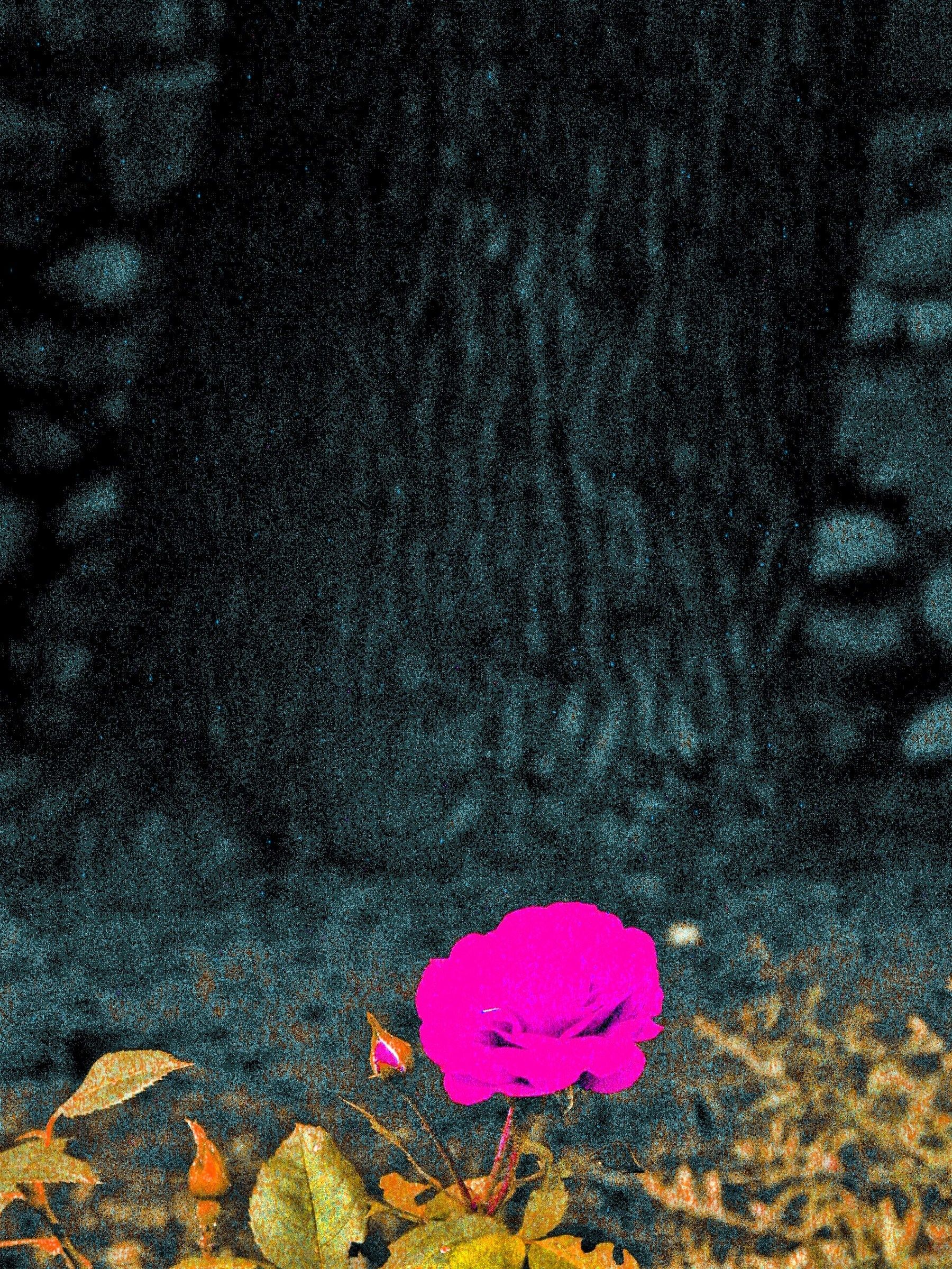 5011 - un lampo di colore