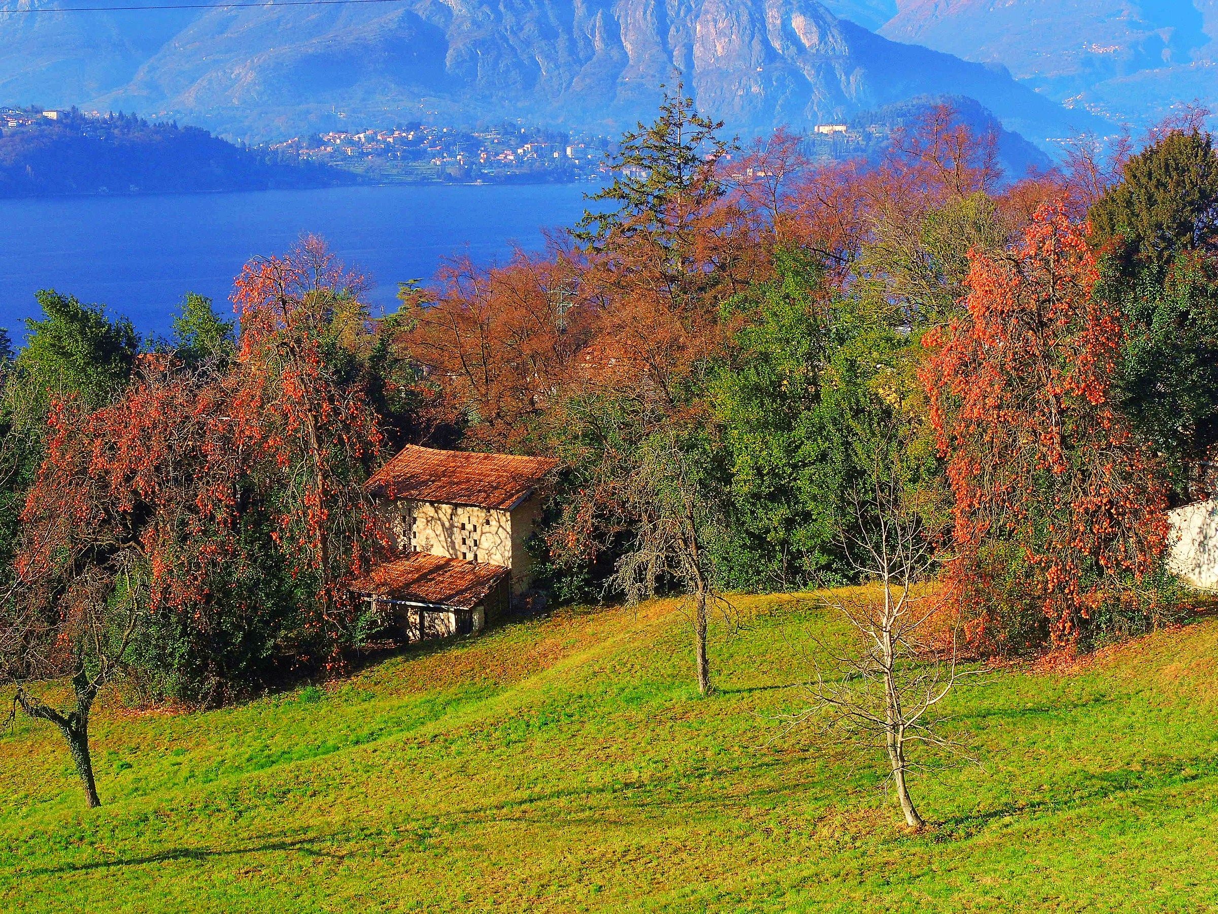 2976 - scorcio pastorale