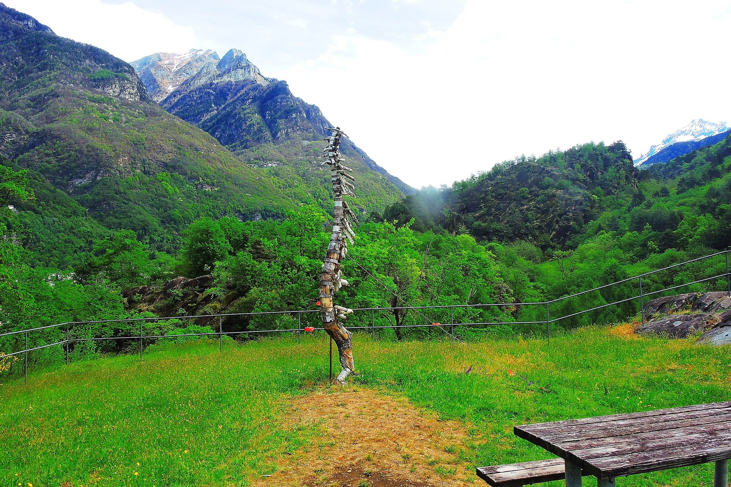 3011 - totemici richiami