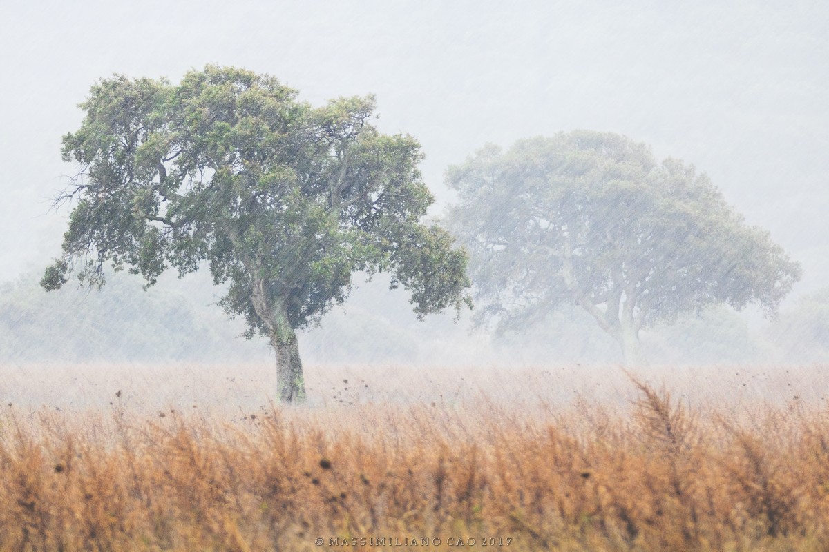 Together in the rain
