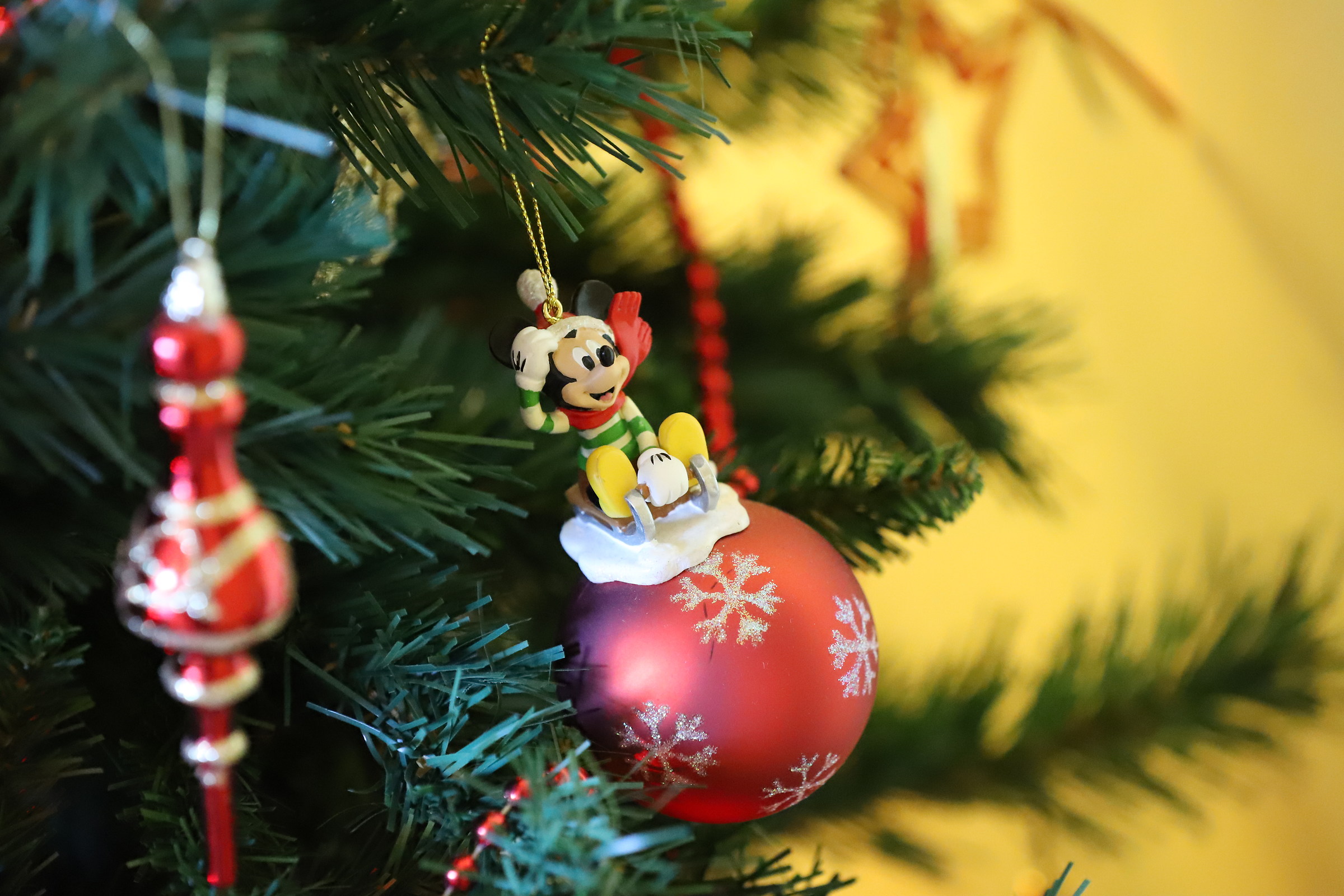 Details of the tree 4