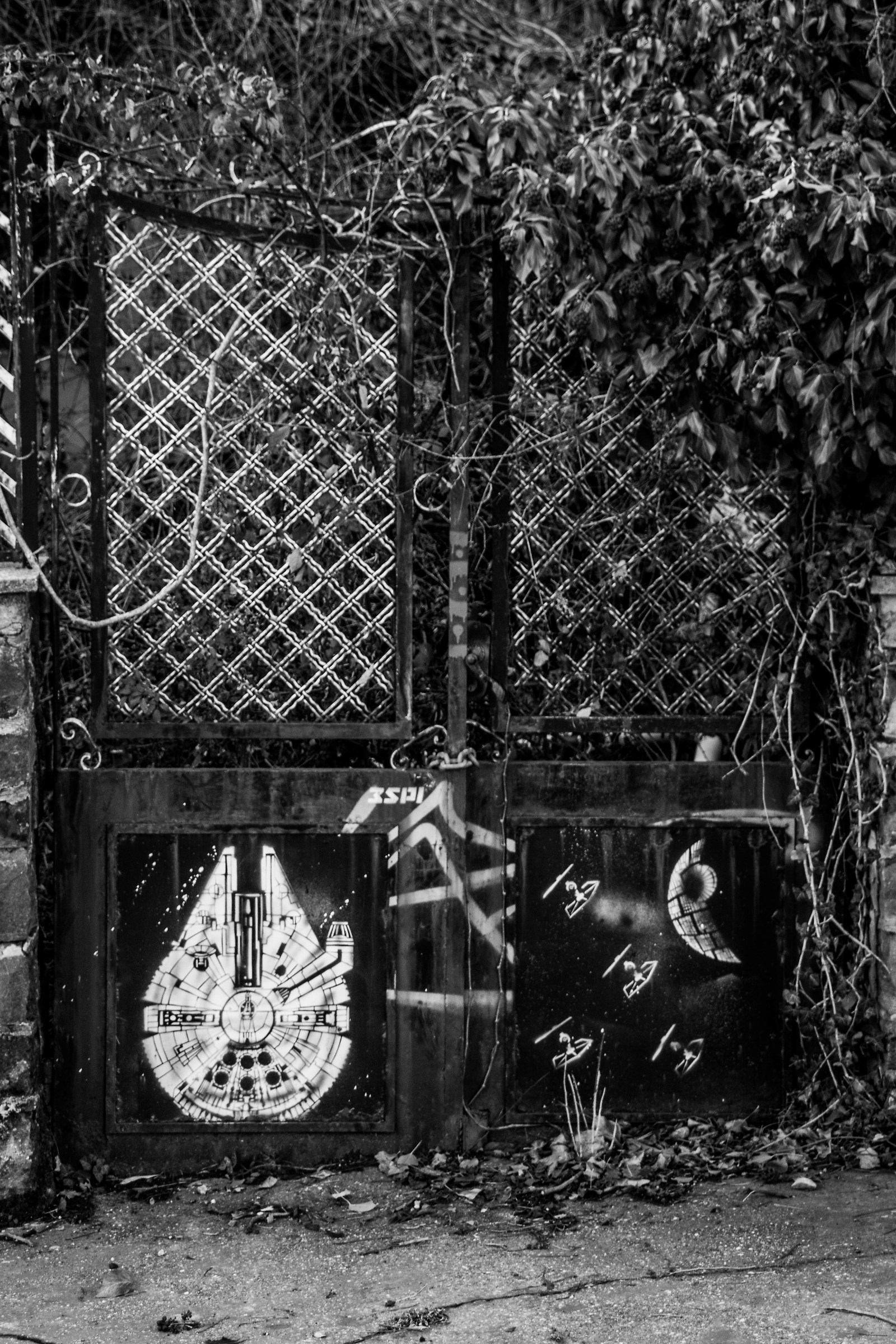 Fam. Kenobi, Via dei Jedi, Tatooine