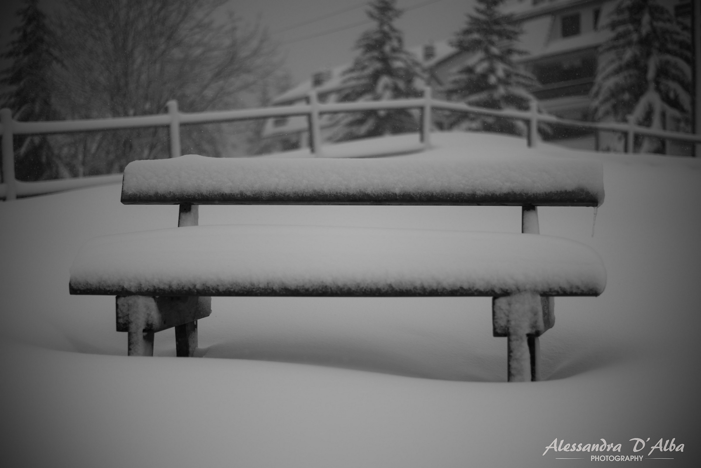 Snowy bench