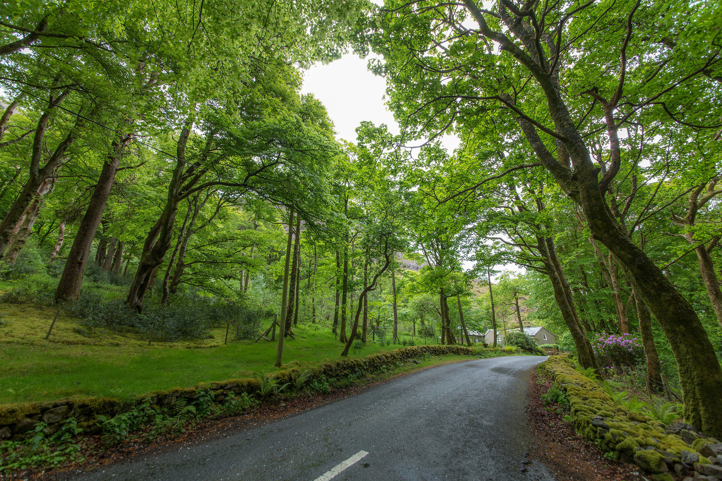In arrivo da Hänsel e Gretel