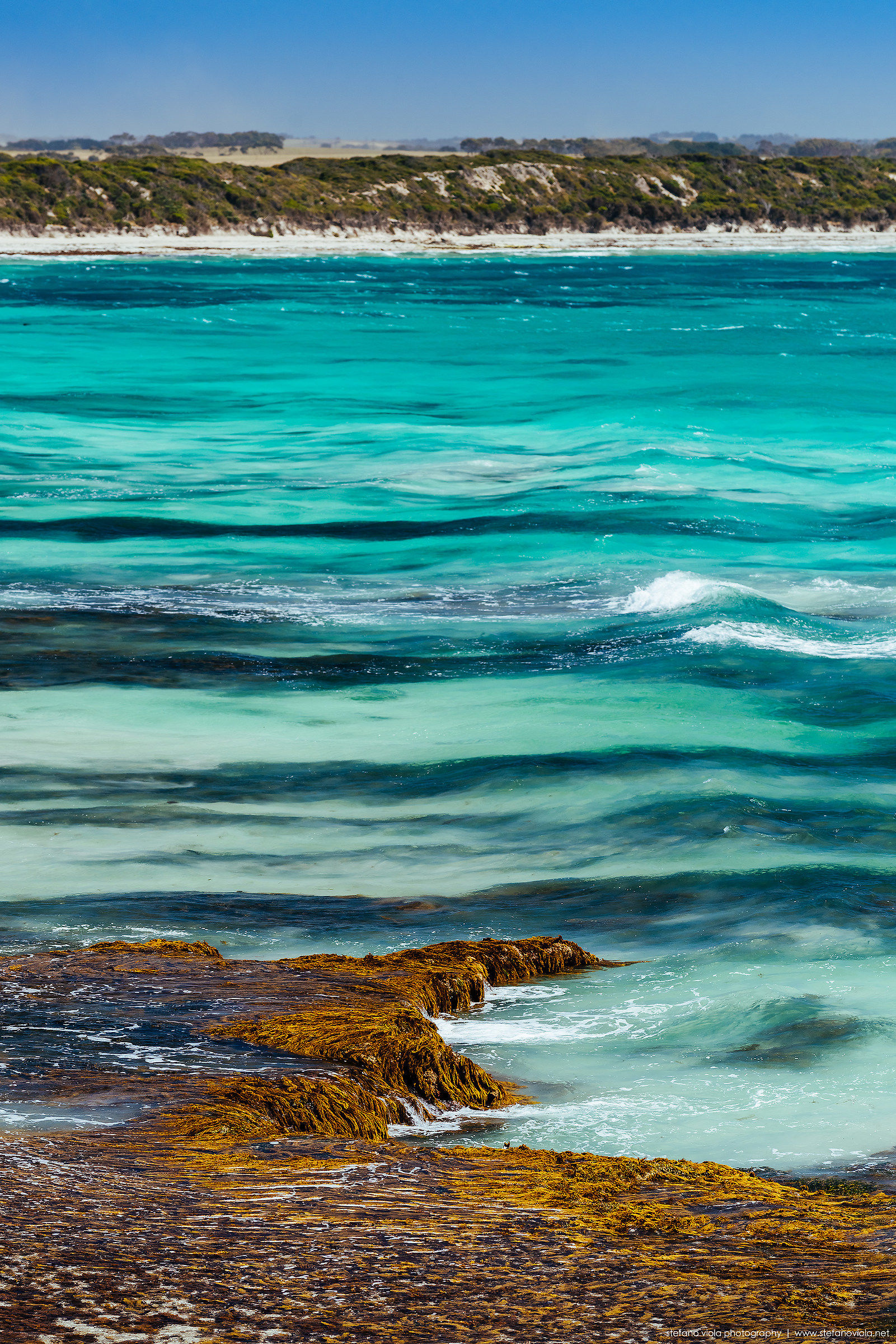 Like in an oil painting