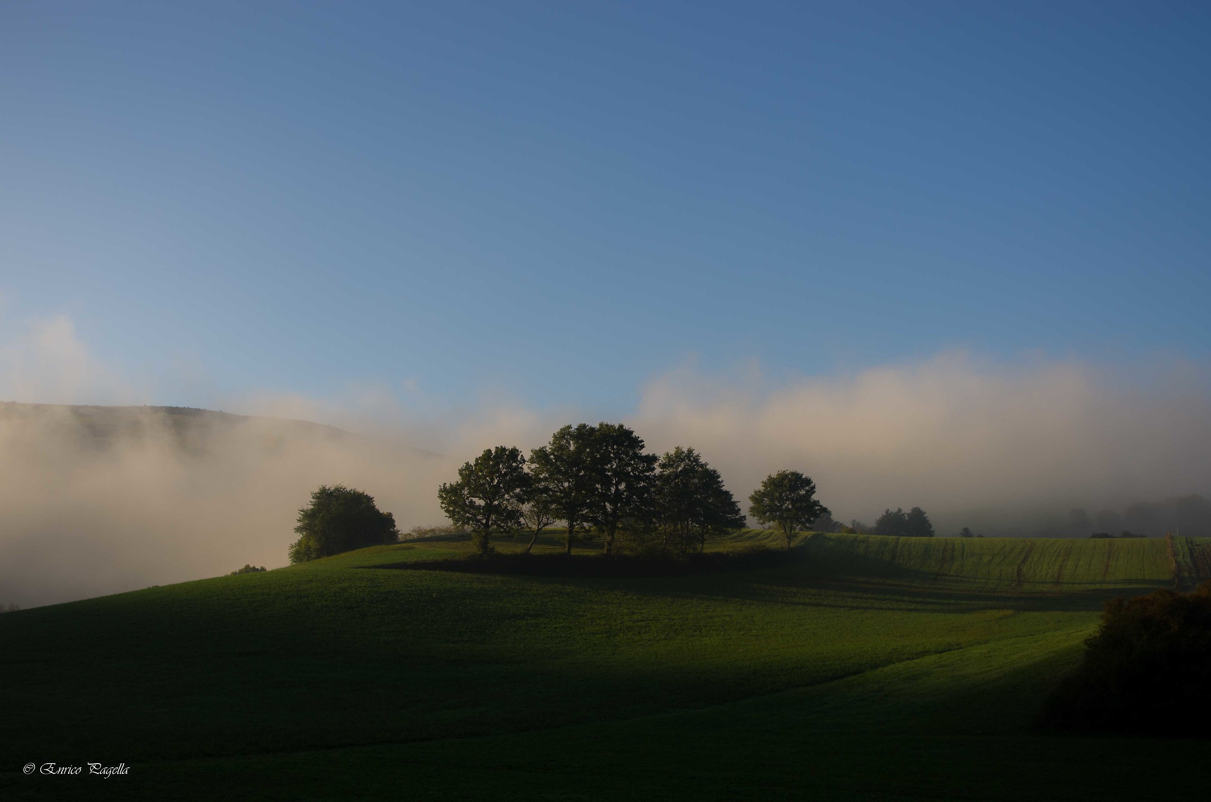 una mattina all'alba