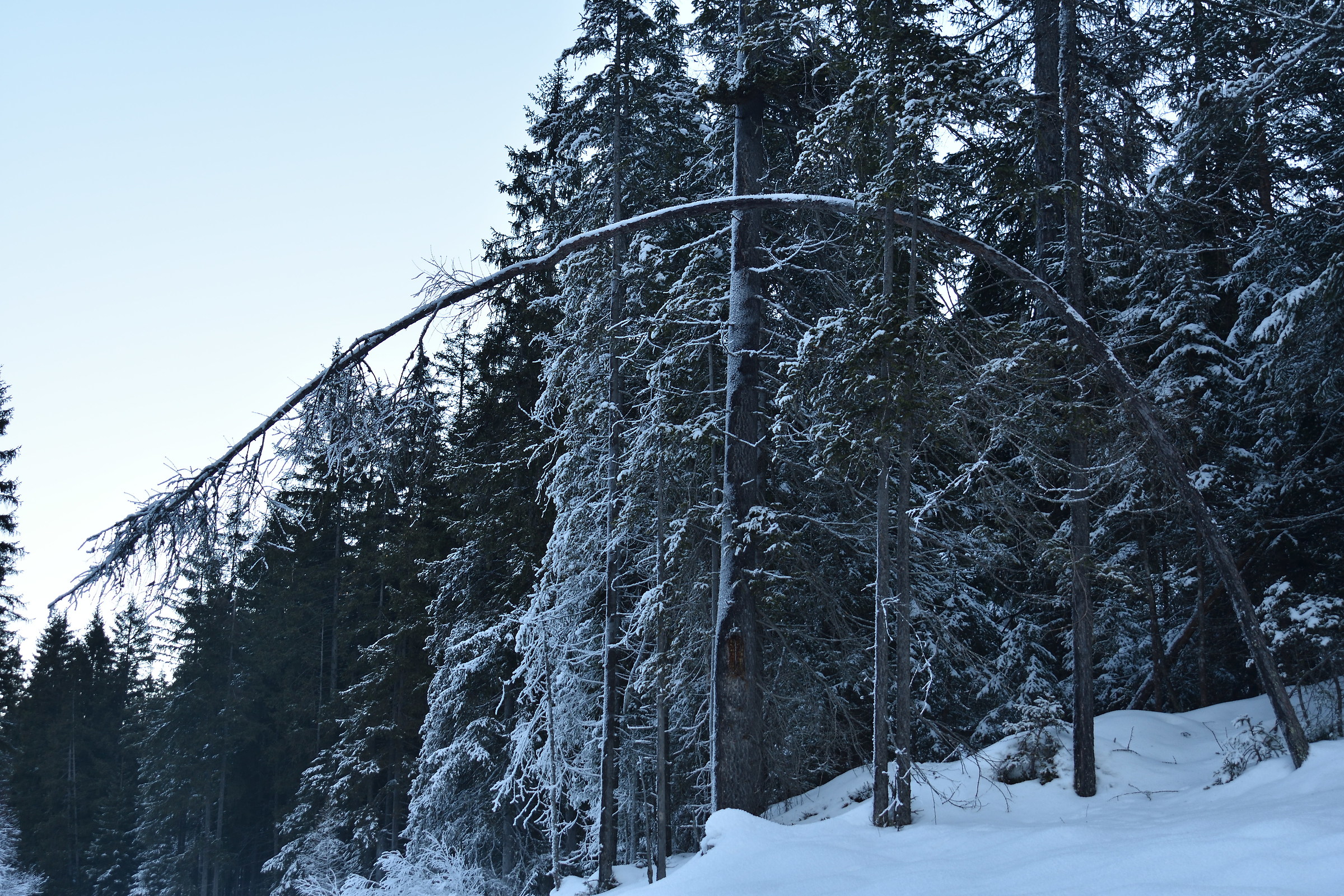 Mi piego ma non mi spezzo