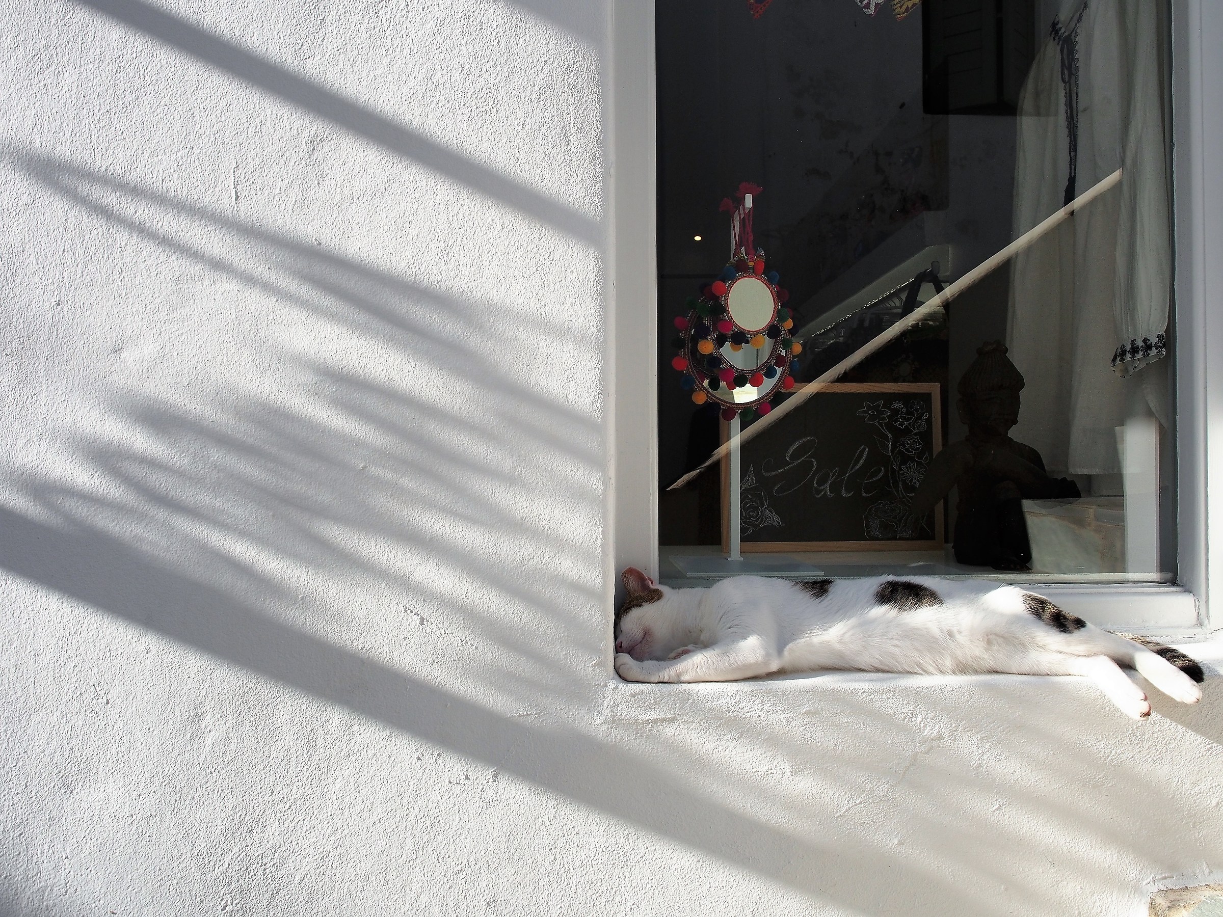 Naoussa best citizen