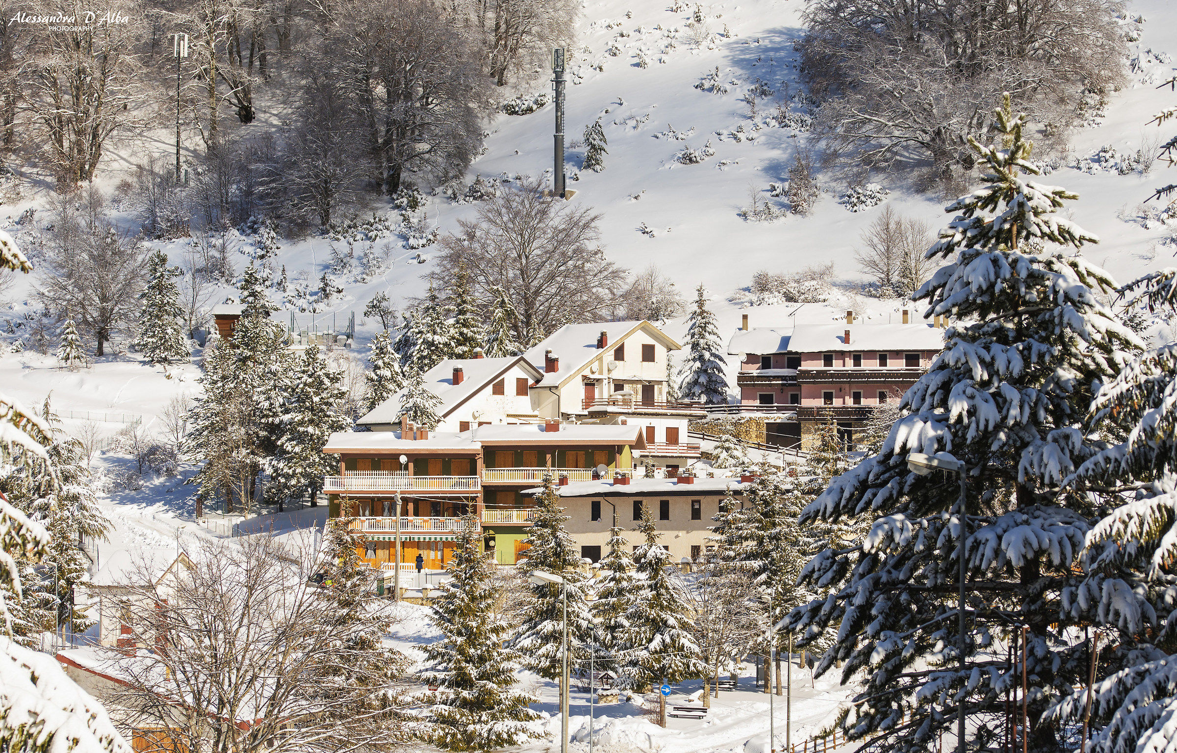 Snowy landscape in Camporotondo